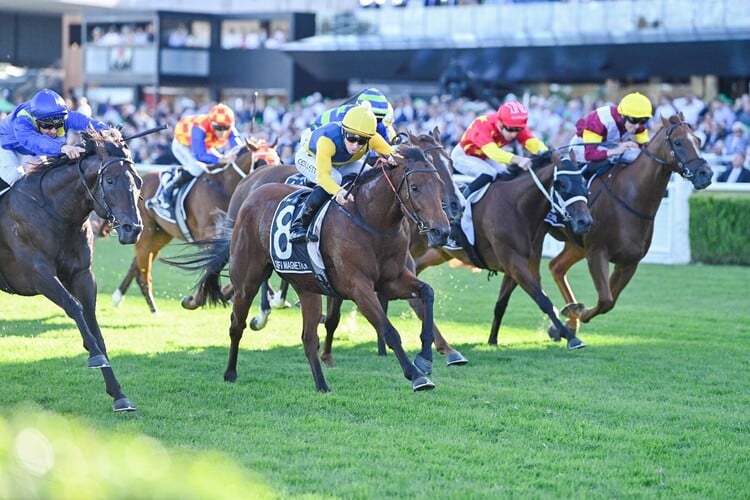 Stefi Magnetica (yellow cap) won last year&rsquo;s Doncaster Mile. Picture: Bradley Photos.