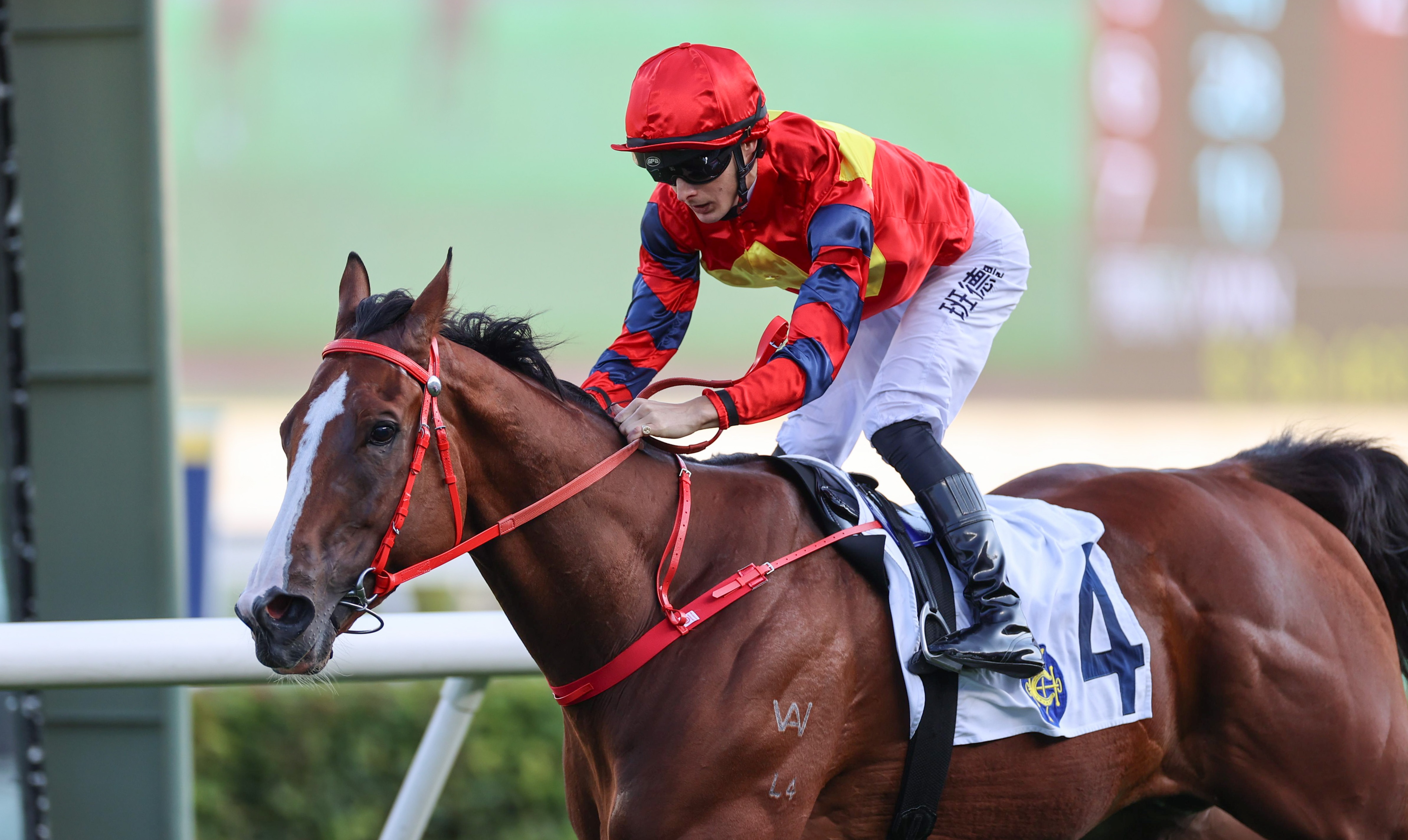 班德禮曾夥拍「醒目高球」三度取勝