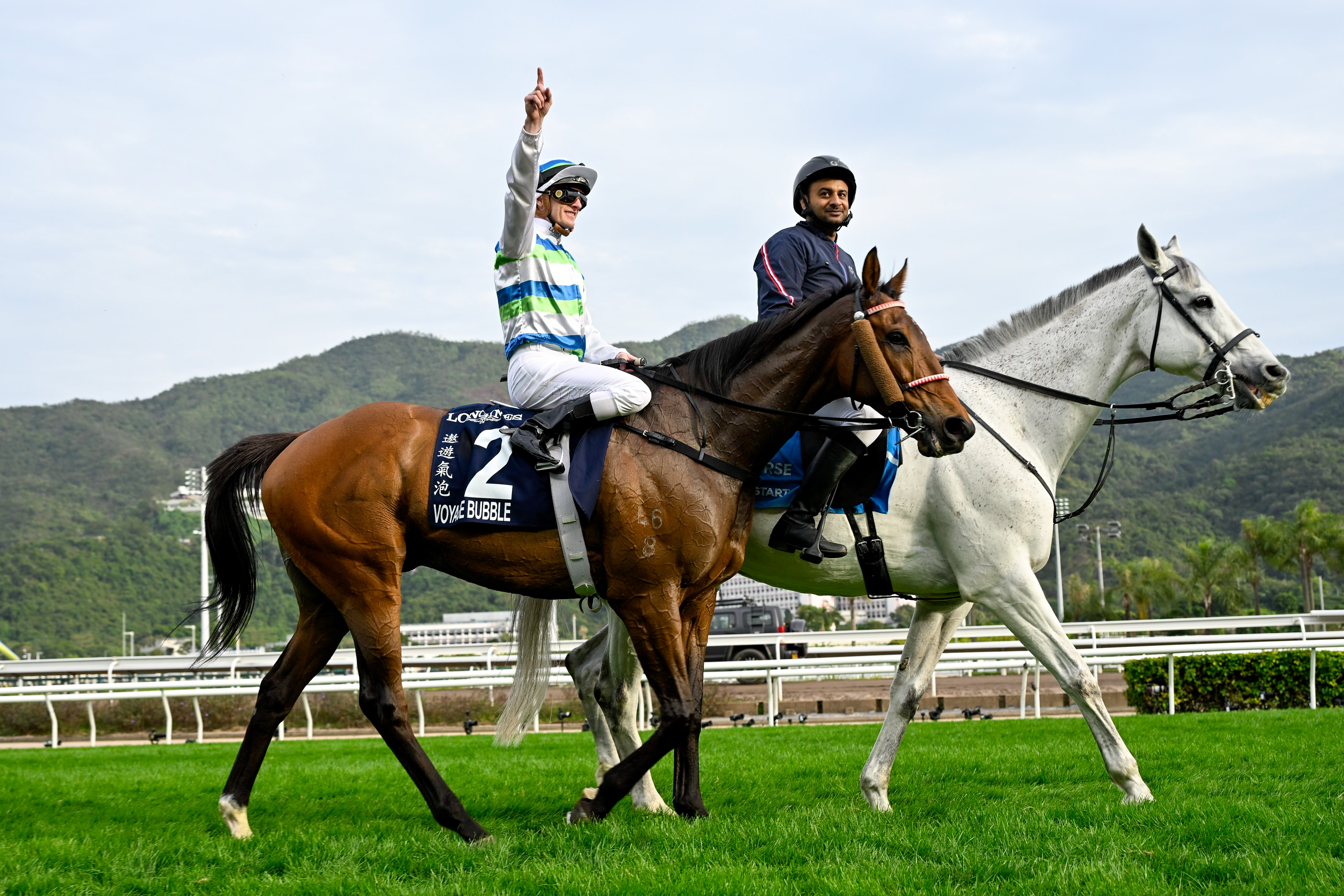 「遨遊氣泡」是香港馬壇成就最非凡的冠軍級佳駟之一 「遨遊氣泡」是香港馬壇成就最非凡的冠軍級佳駟之一