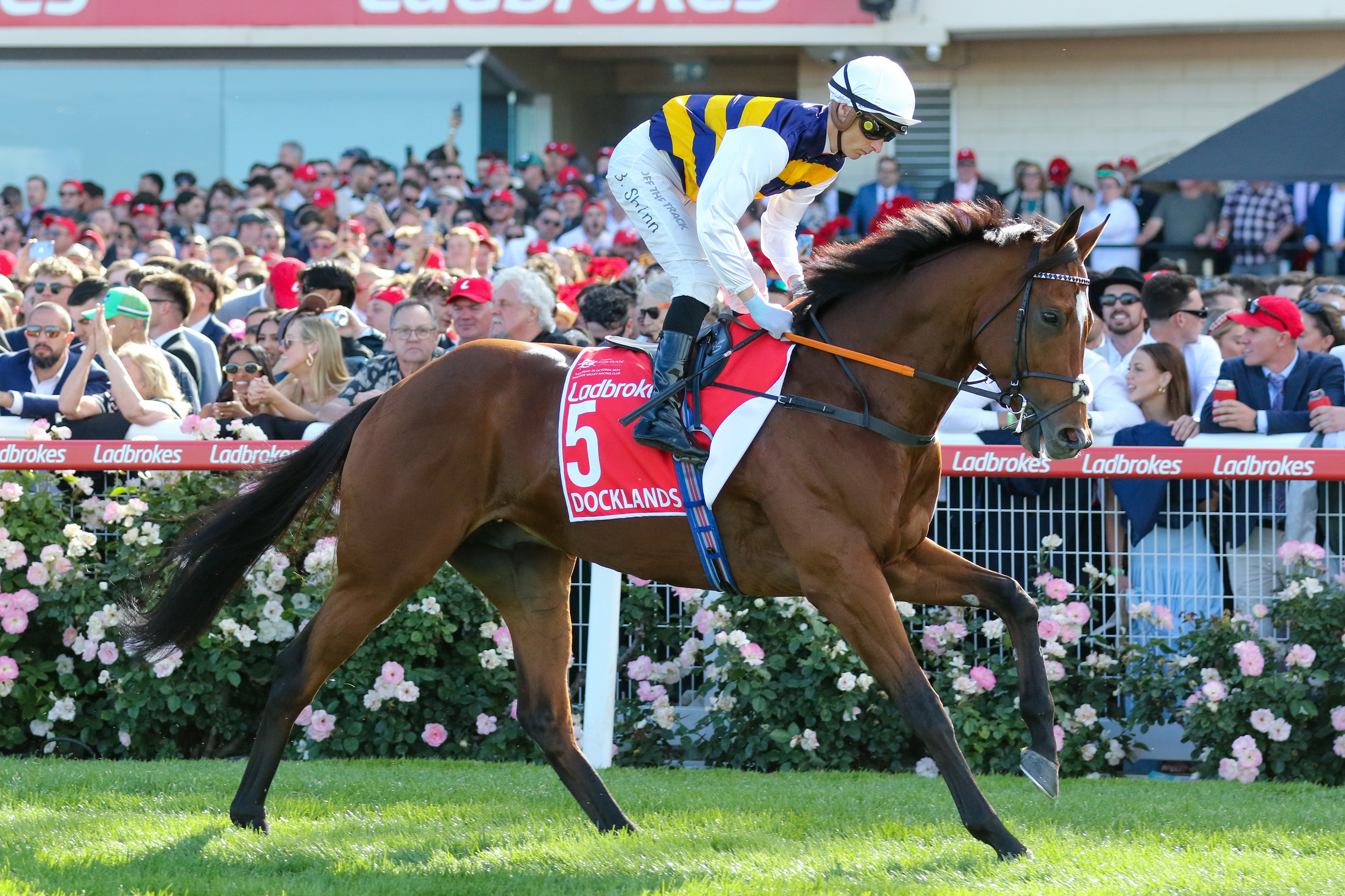 「港邊小區」即將亮相沙田馬場角逐總獎金高達二千四百萬港元的一級賽富衛保險冠軍一哩賽，與「遨遊氣泡」及「遠觀天象」等強敵同場較勁