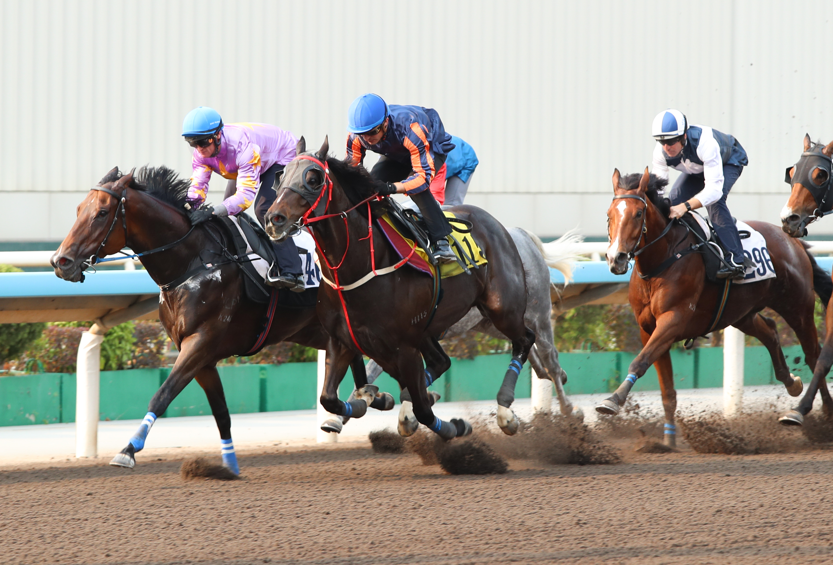 蔡約翰寄望「紅運帝王」能重演去年力壓「遨遊氣泡」揚威一級賽富衛保險冠軍一哩賽的精彩表現，於4月26日（星期日）成功衛冕此賽錦標