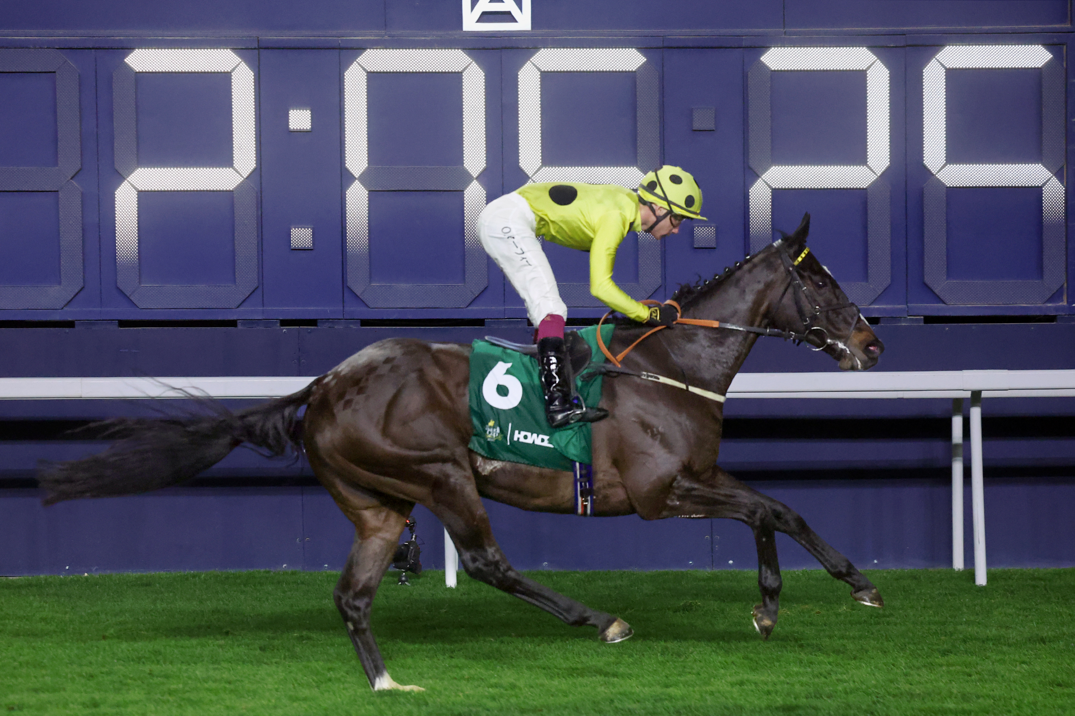 「御冠軍」是富衛保險女皇盃陣中的四匹一級賽冠軍之一