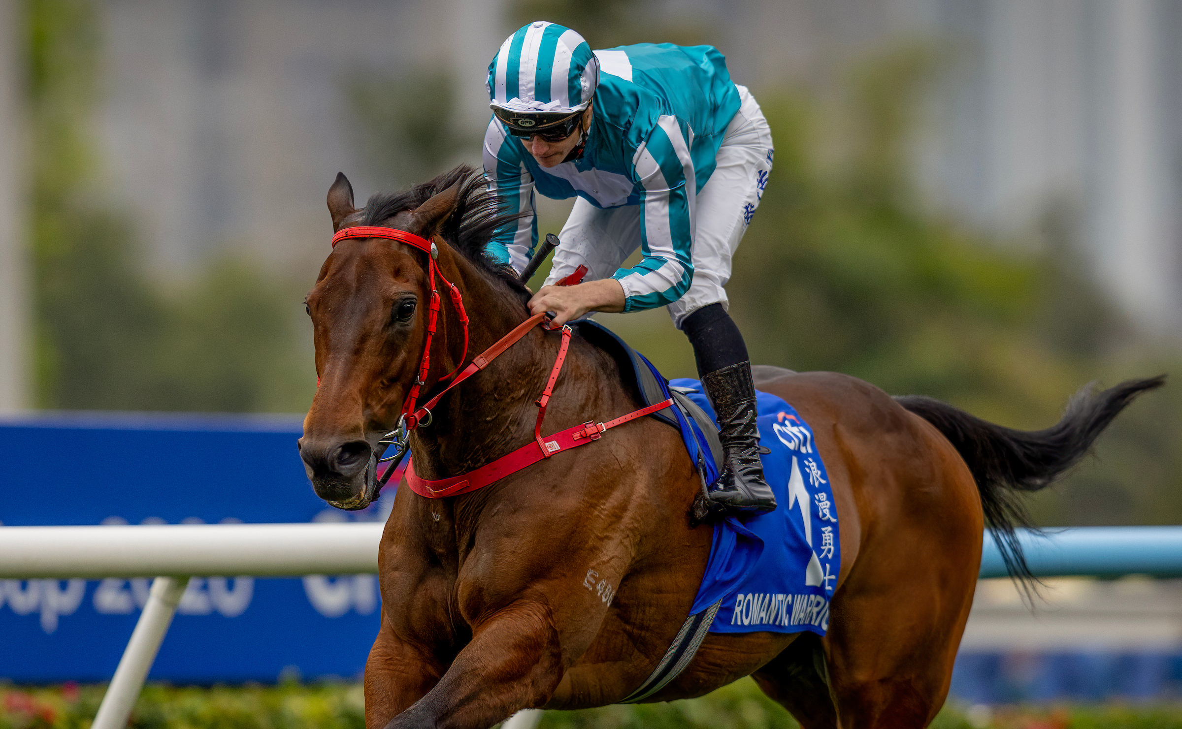「浪漫勇士」是現時全球贏得最多獎金的賽駒