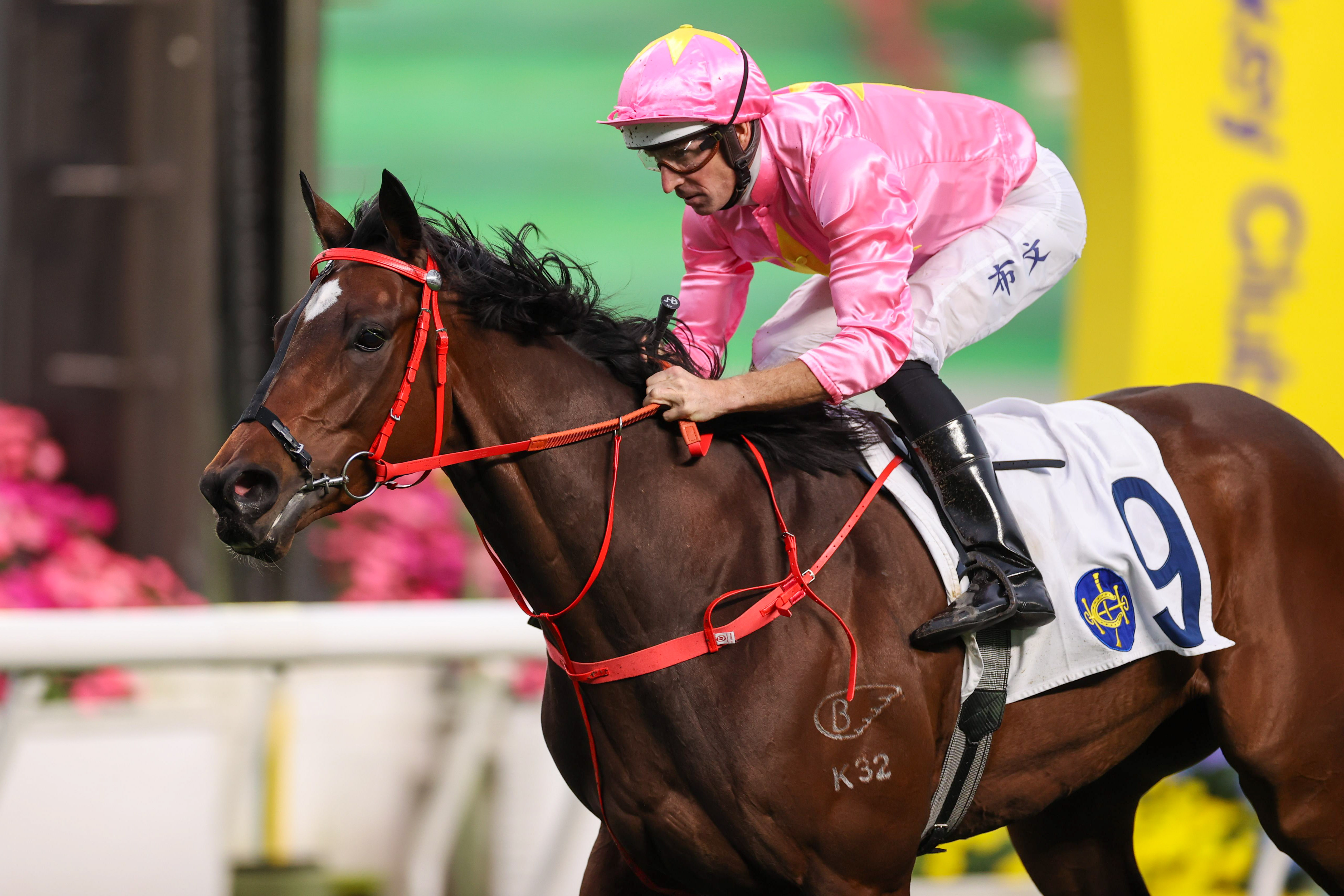 「首飾天空」克服阻滯後即將在沙田馬場復出，而練馬師蔡約翰對這匹佳駟的前景抱較審慎態度