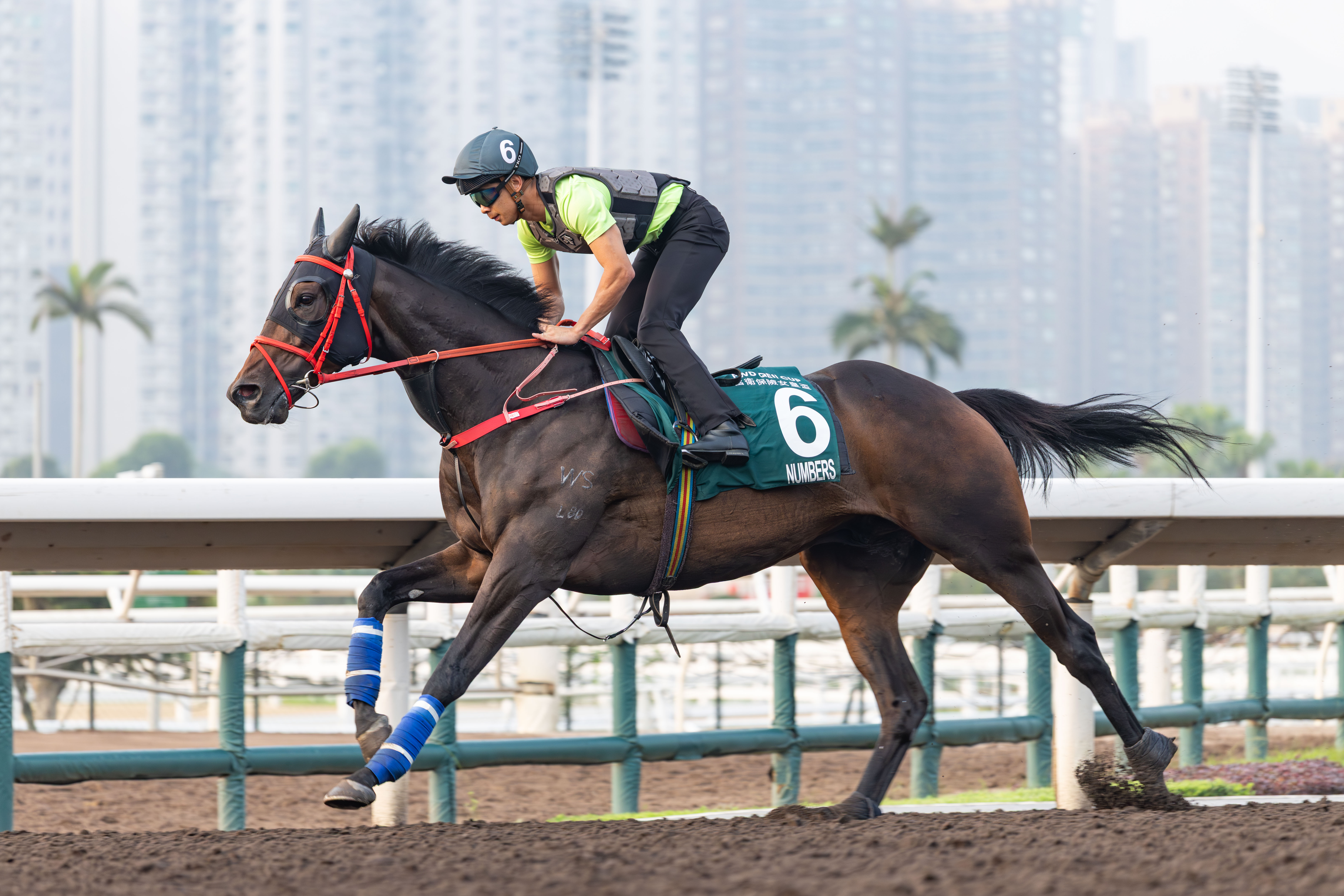 「數字天文」於週一在晨課出試備戰富衛保險女皇盃