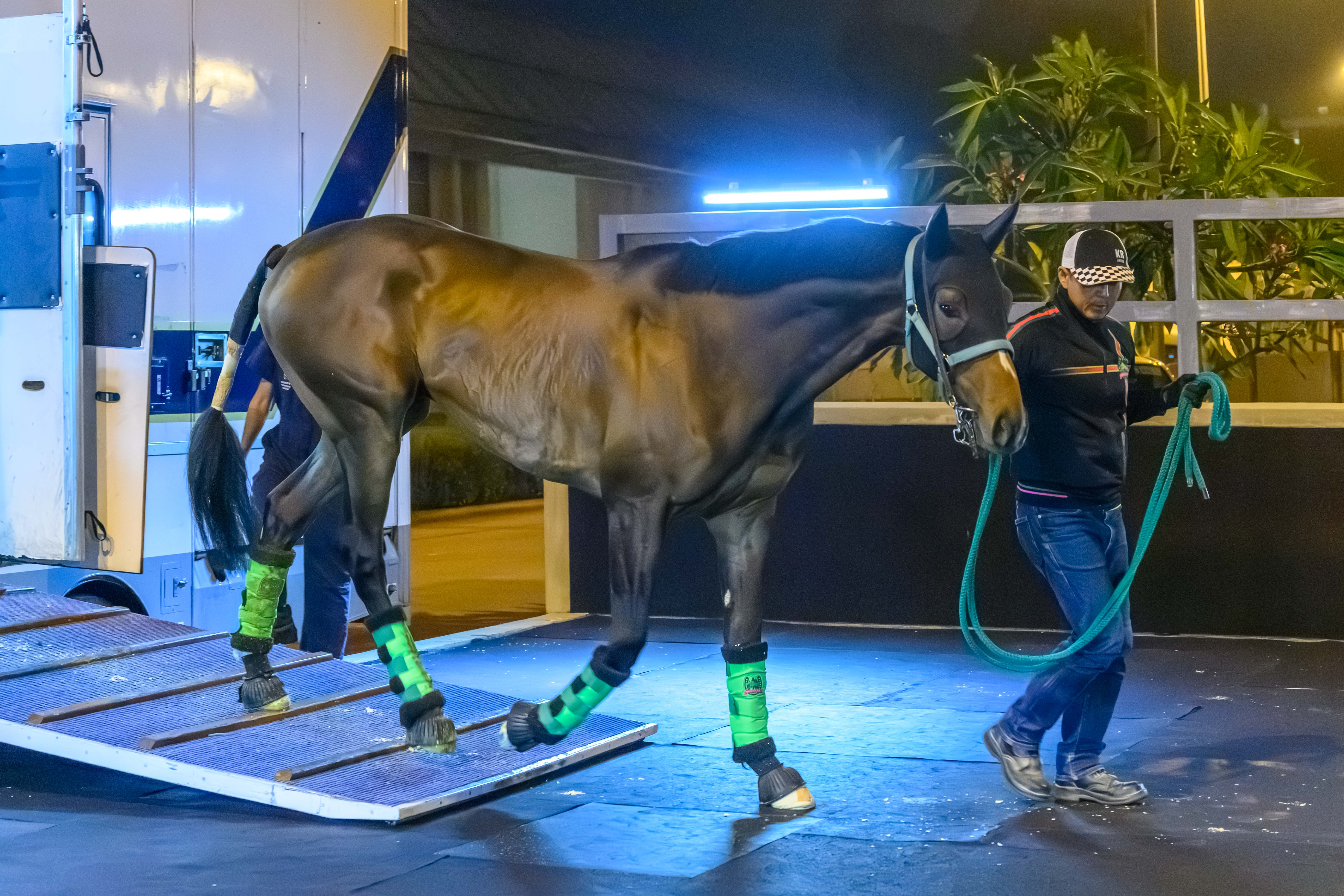 「神之禮」抵達沙田馬場
