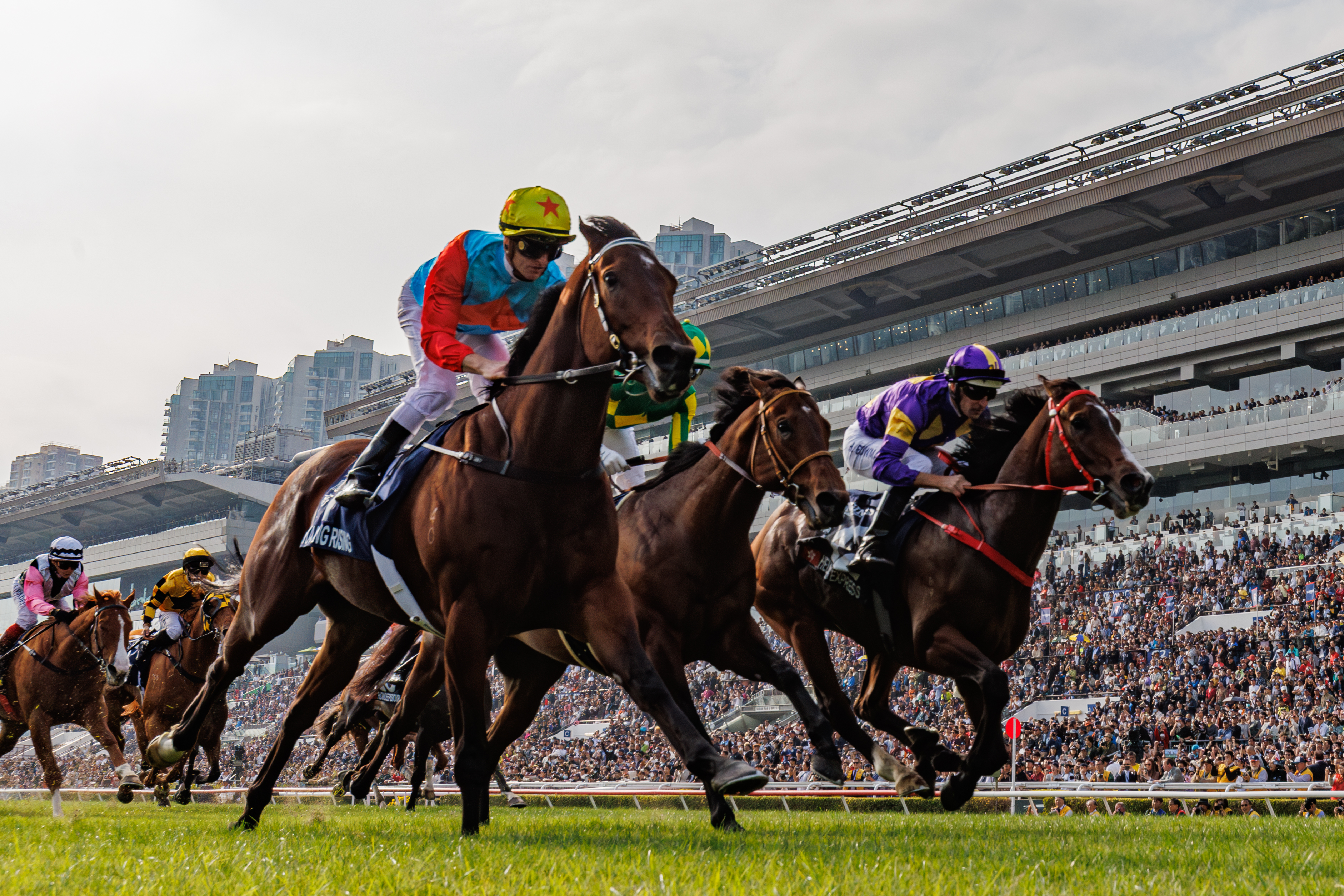 「驕陽明駒」（紫帽）在沙田出賽時於末段力追「嘉應高昇」