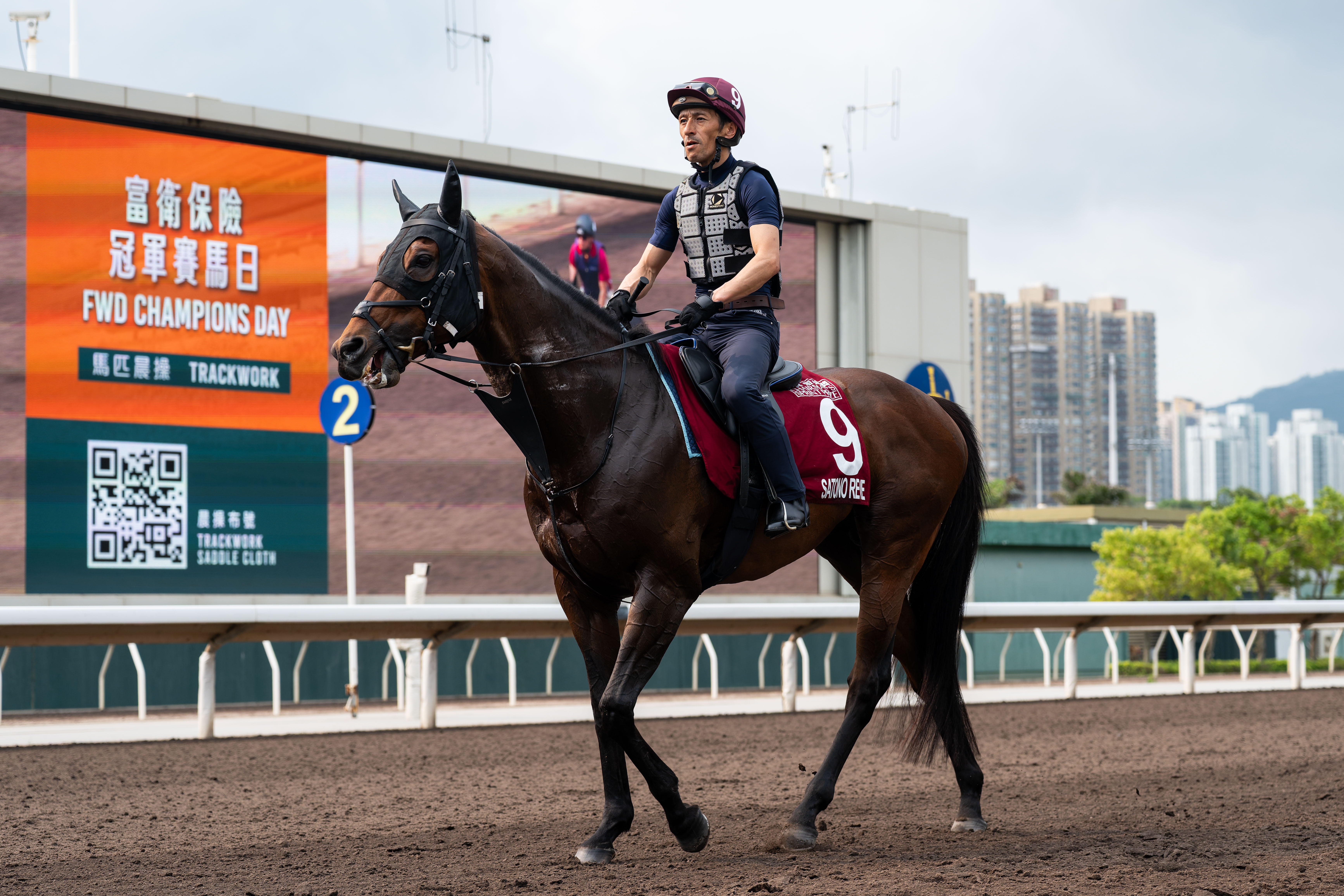 「里見夢境」於週二（4月21日）在沙田出操