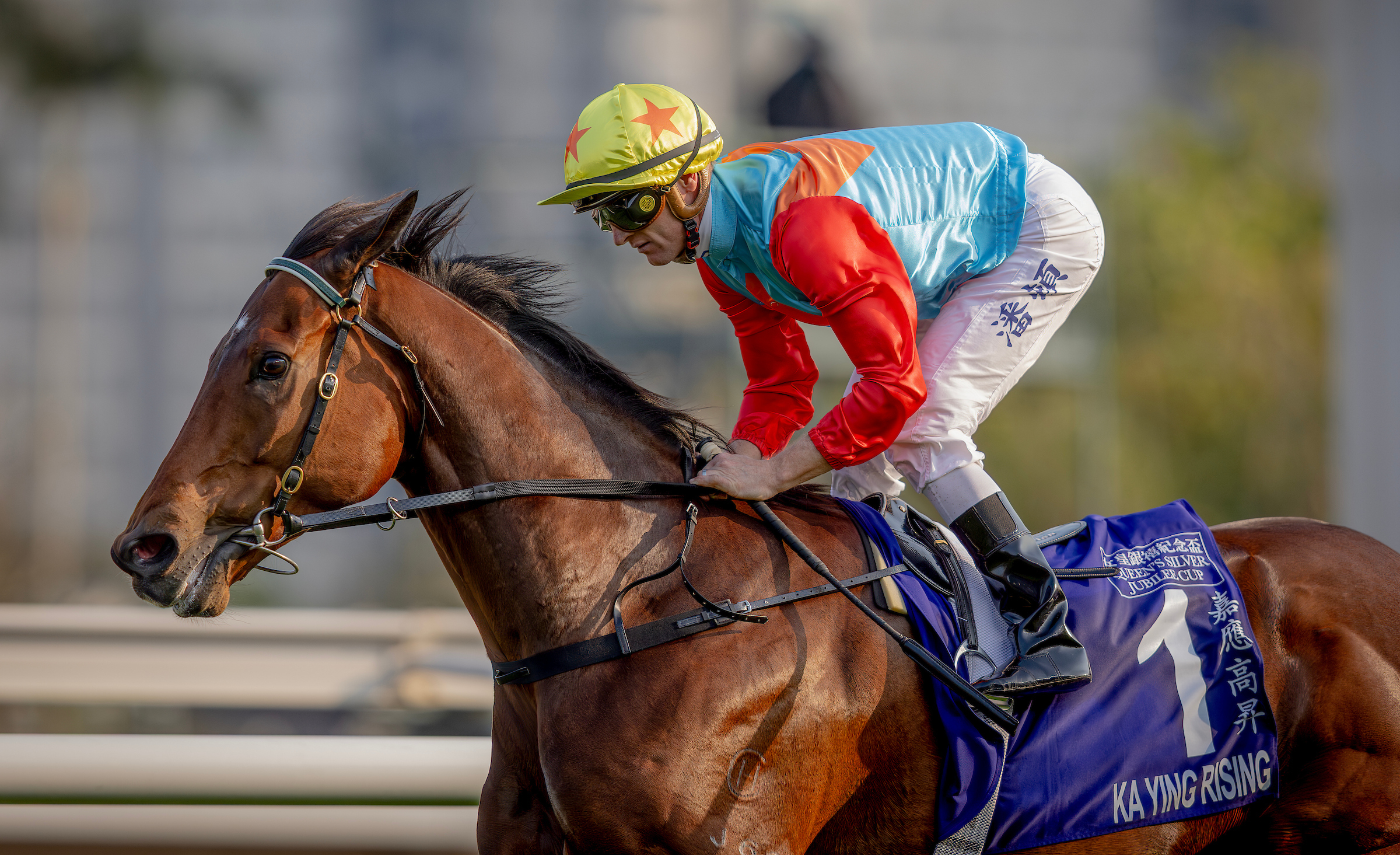 「嘉應高昇」力爭把連勝紀錄延續至二十場