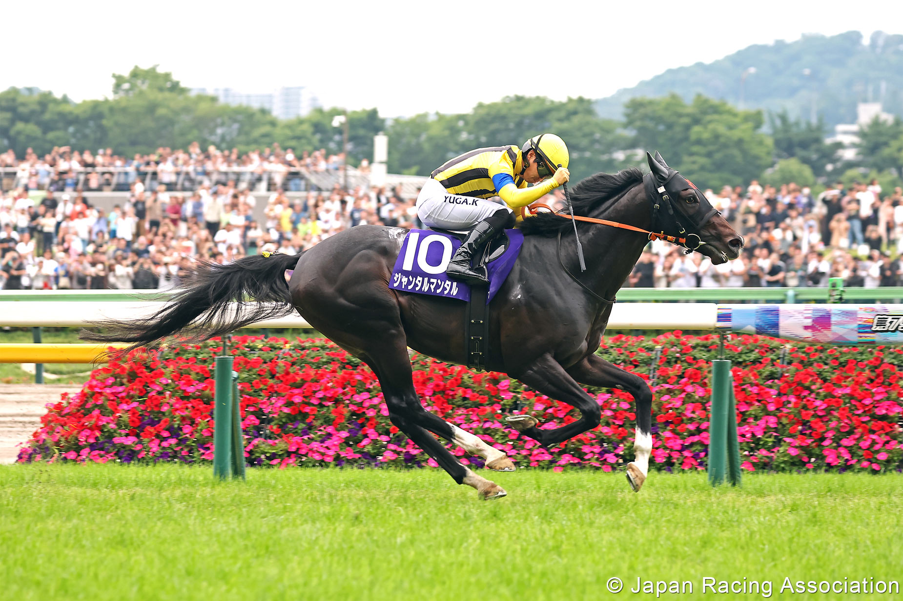 「遠觀天象」是四項一級賽盟主