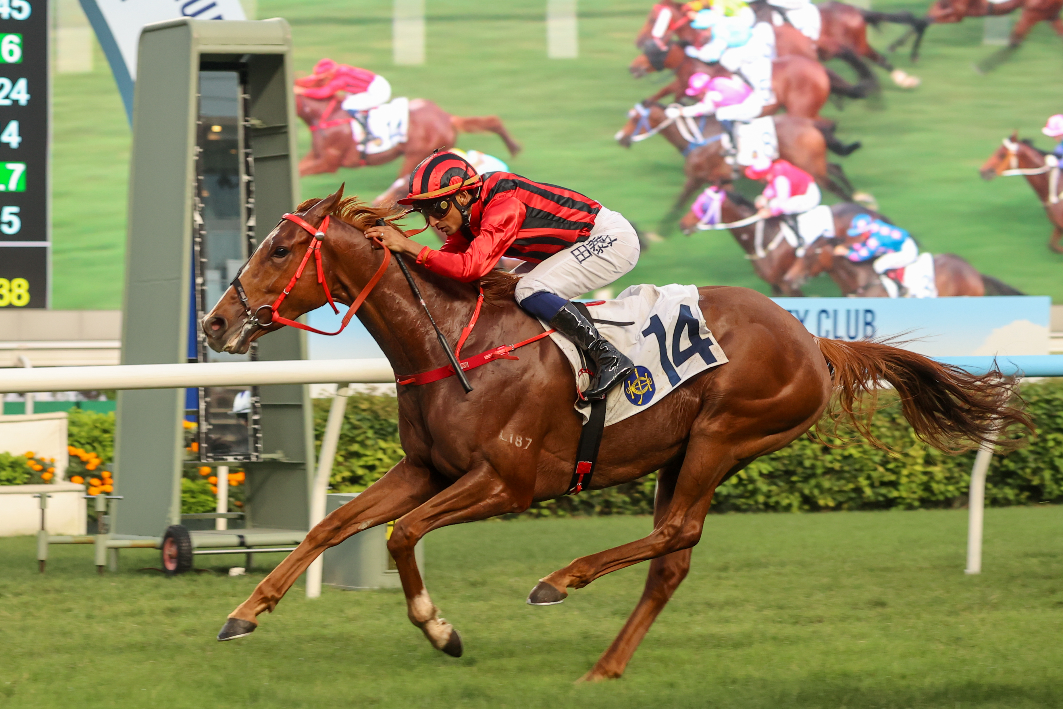 由田泰安主策的「海上大軍」憑凌厲後勁在沙田勝出在港首仗，今仗力爭攻下三級賽皇太后紀念盃