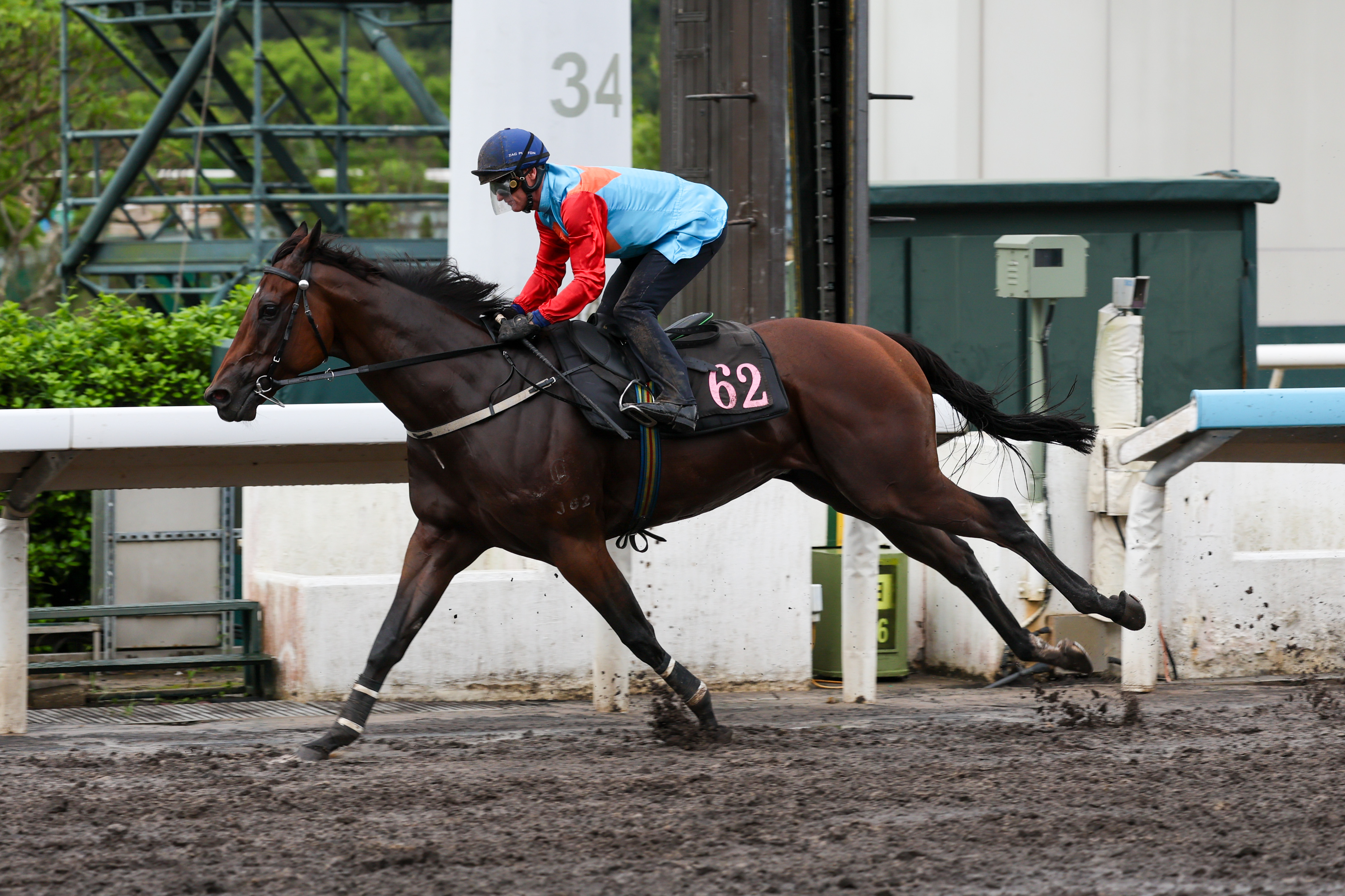 潘頓策騎「嘉應高昇」沙田進行休後首課試閘，這對人馬組合甫亮相即成全場焦點