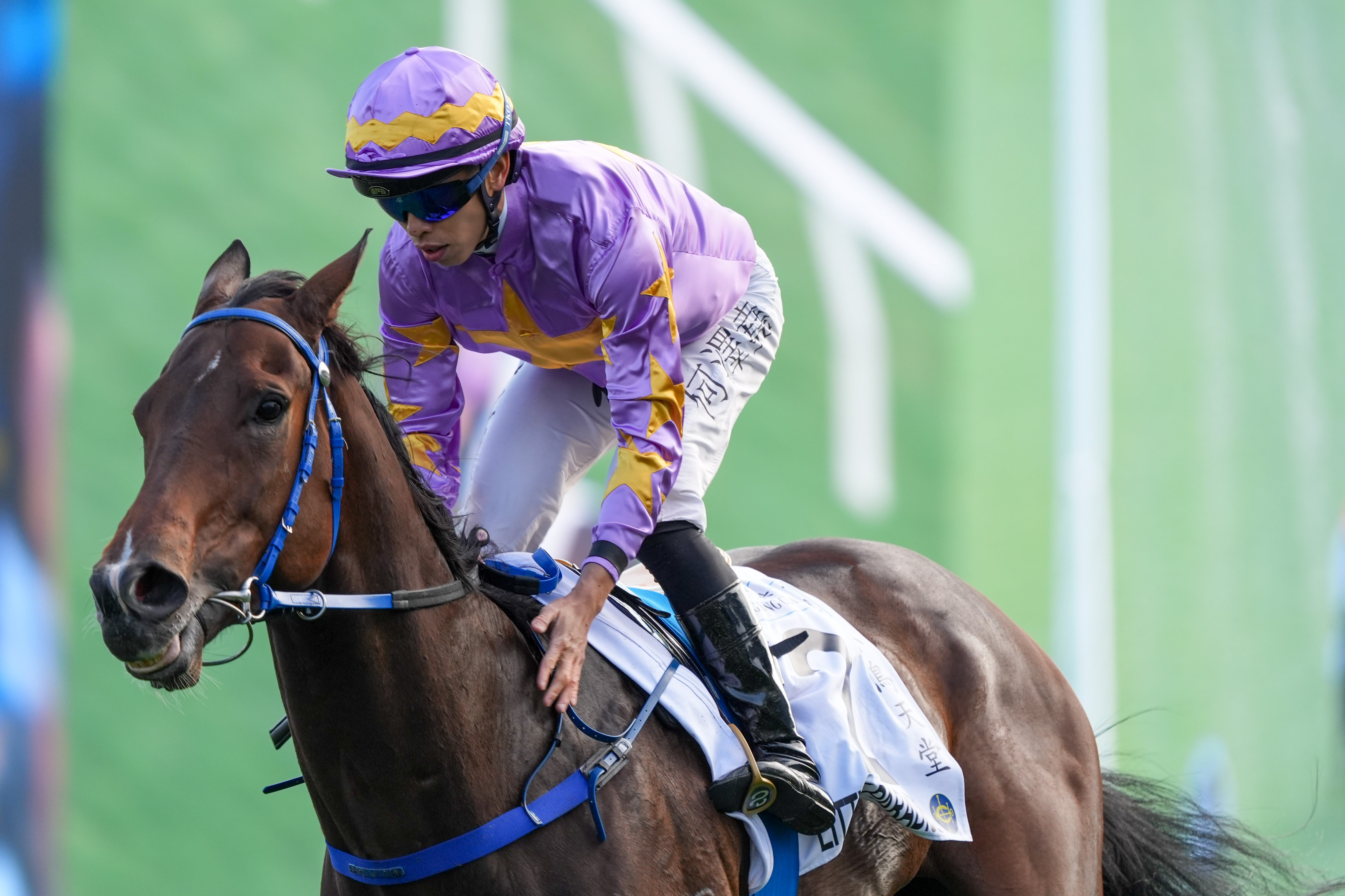 「小鳥天堂」在何澤堯胯下後上拋離對手掄元