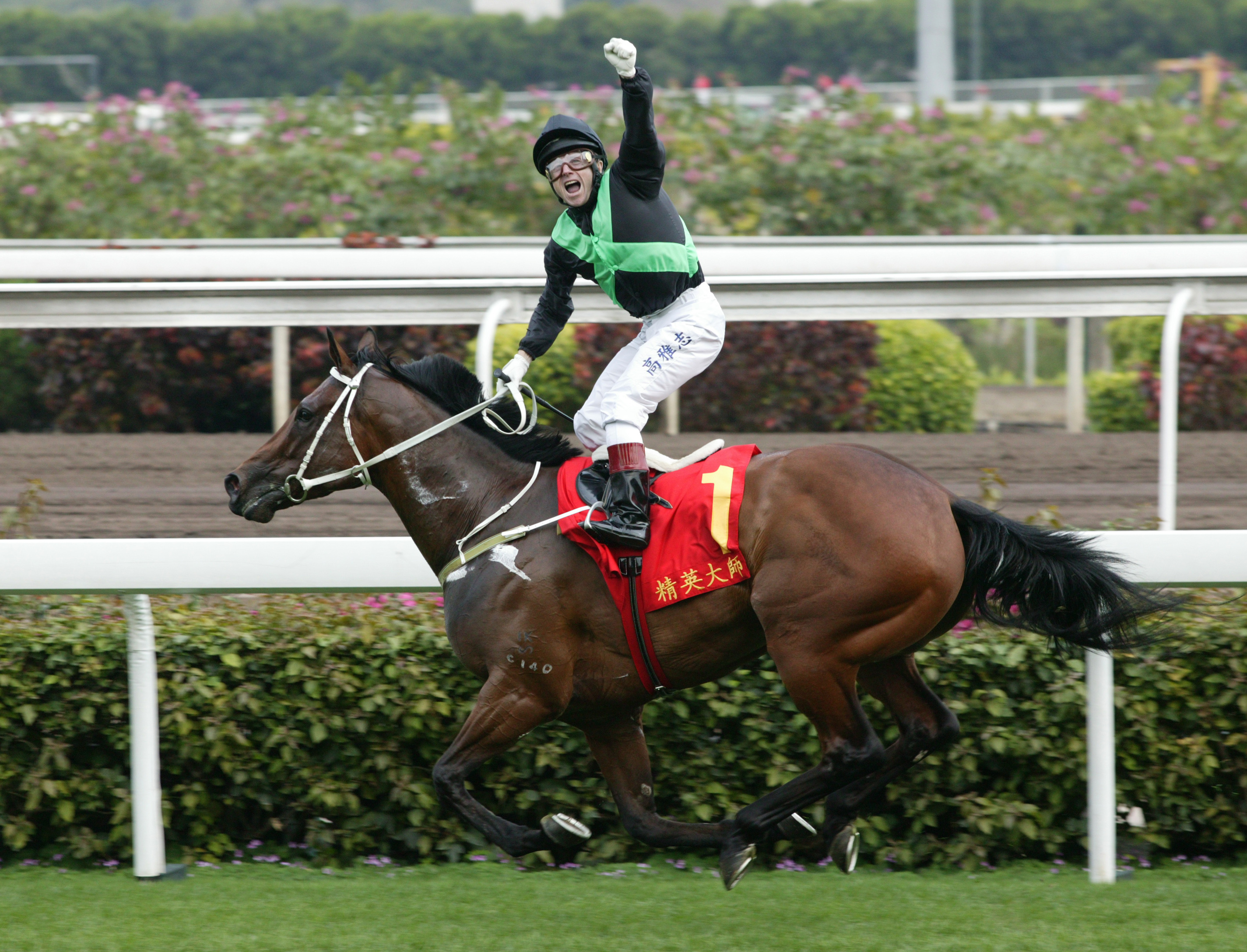 「精英大師」服役時的二十九仗均由高雅志主轡。高雅志形容這匹冠軍級短途馬是獨一無二、與別不同的賽駒，在連勝期間為馬迷帶來難忘的回憶