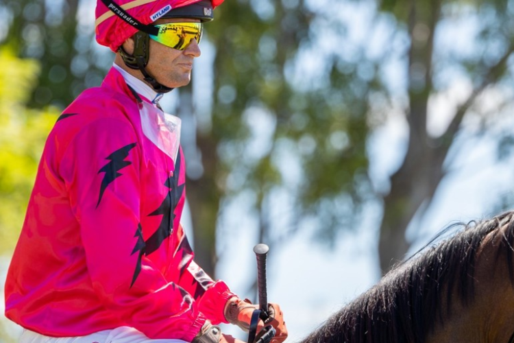 Picture - Racing Queensland