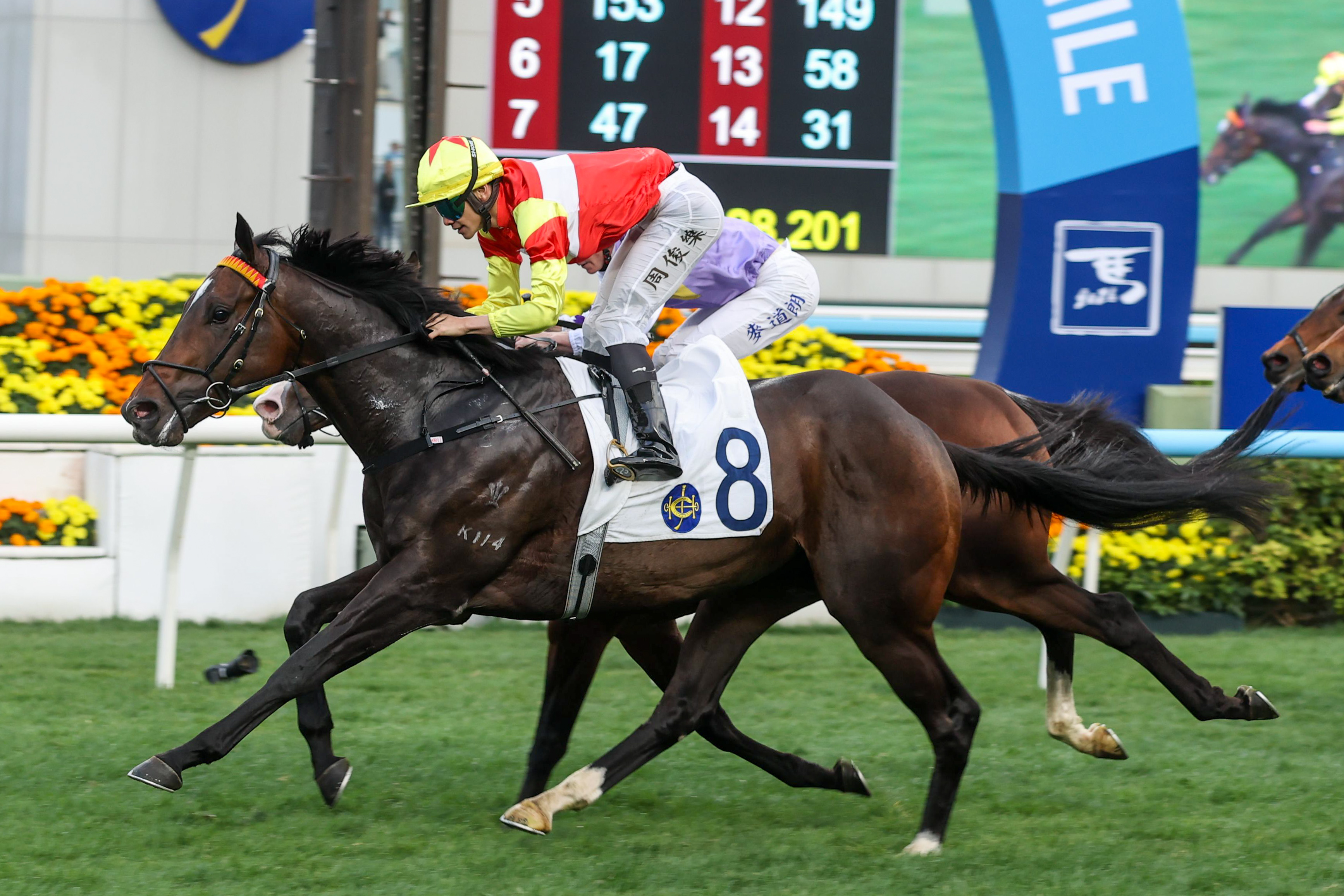 四歲馬「一生好彩」的評分拾級而上，有力爭取入圍今屆寶馬香港打吡大賽