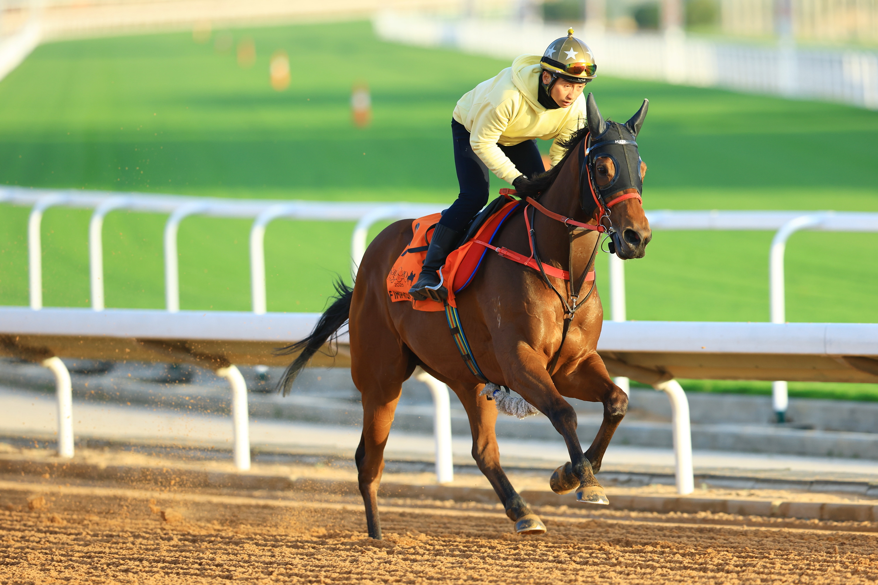 「自強不息」週末力求揚威大賽
