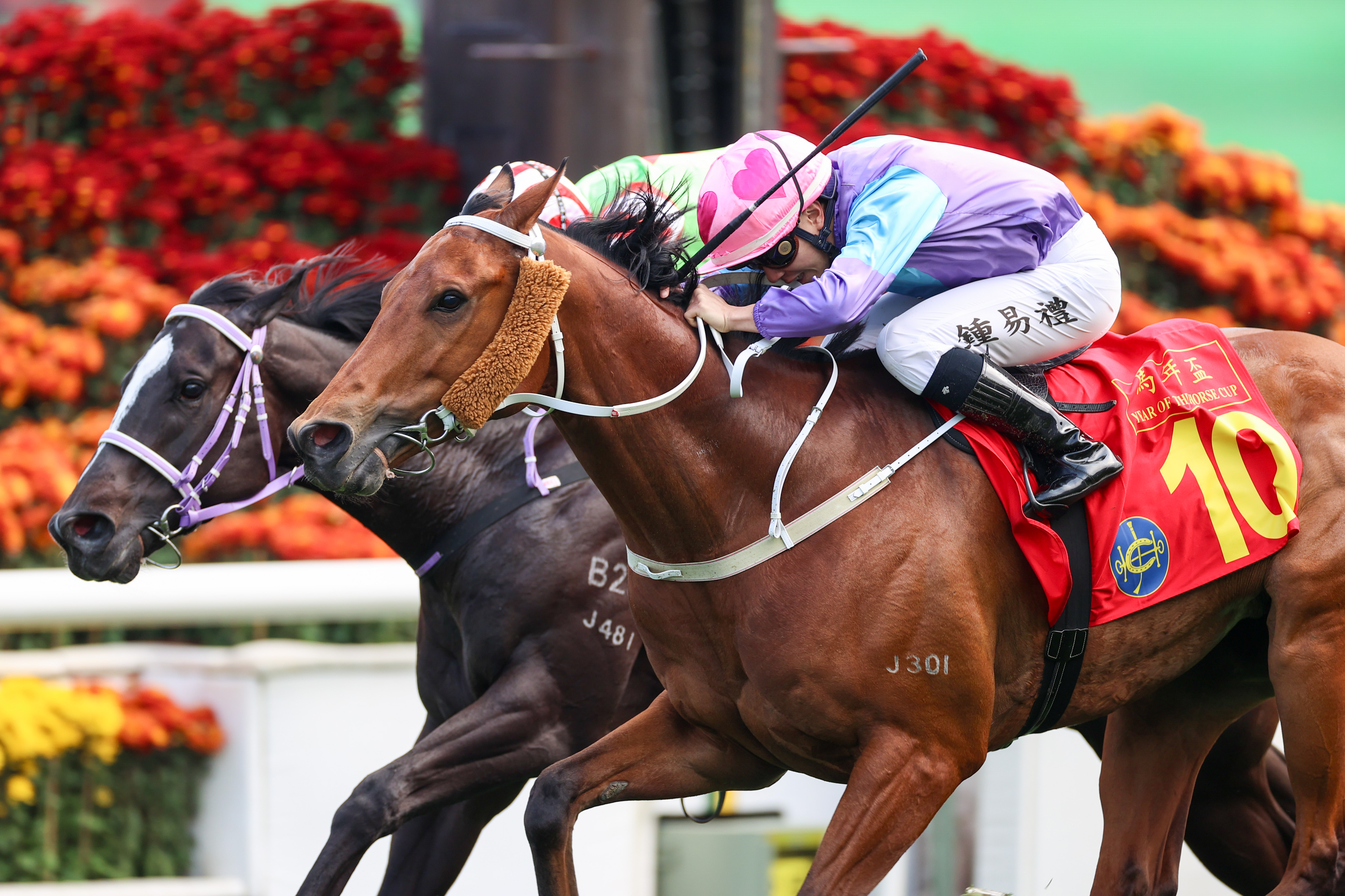 「桃花開」與「喜尊龍」末段叮噹馬頭，最終前駒力抗對手奪冠而回