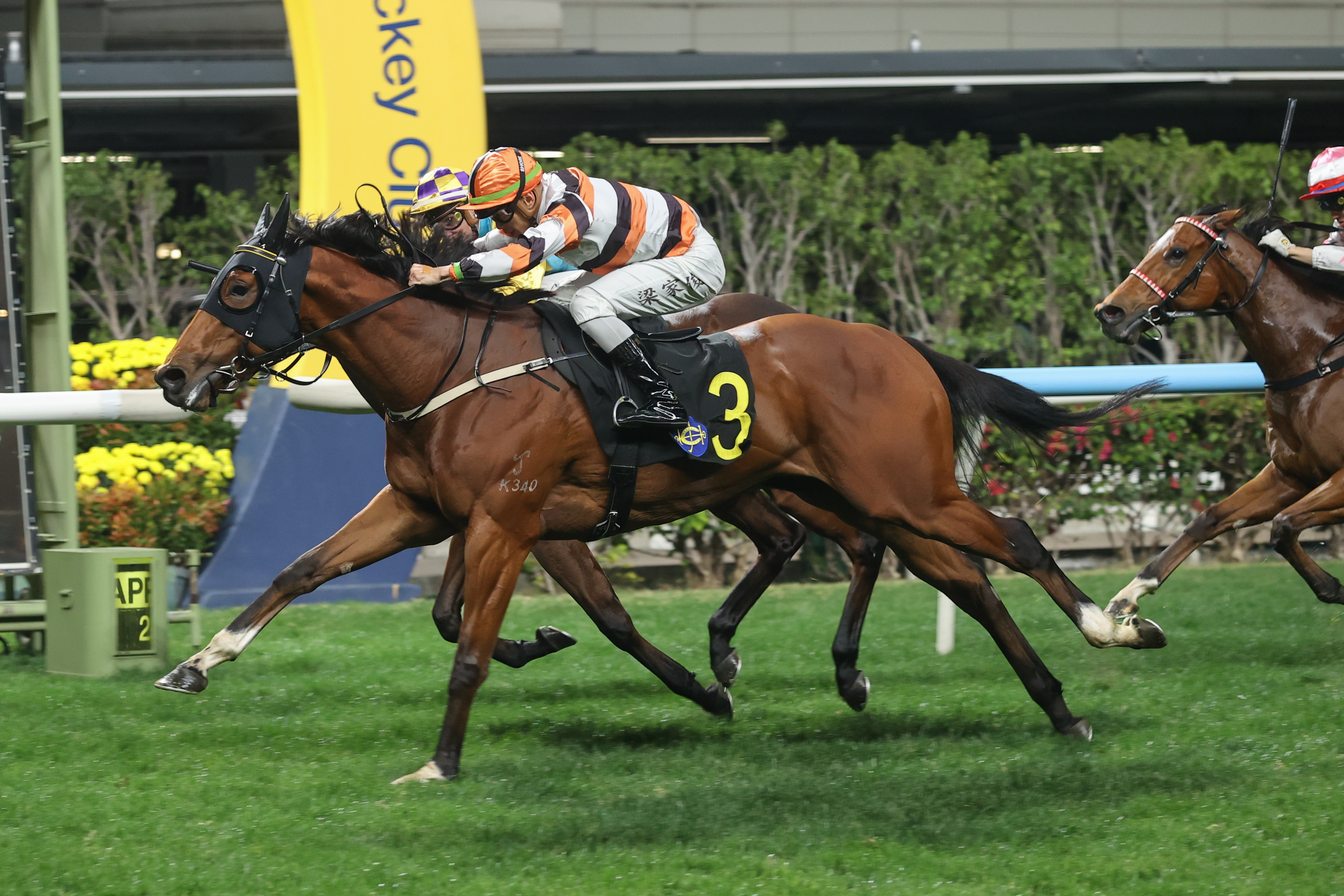「團結勇士」在跑馬地取得兩連捷。