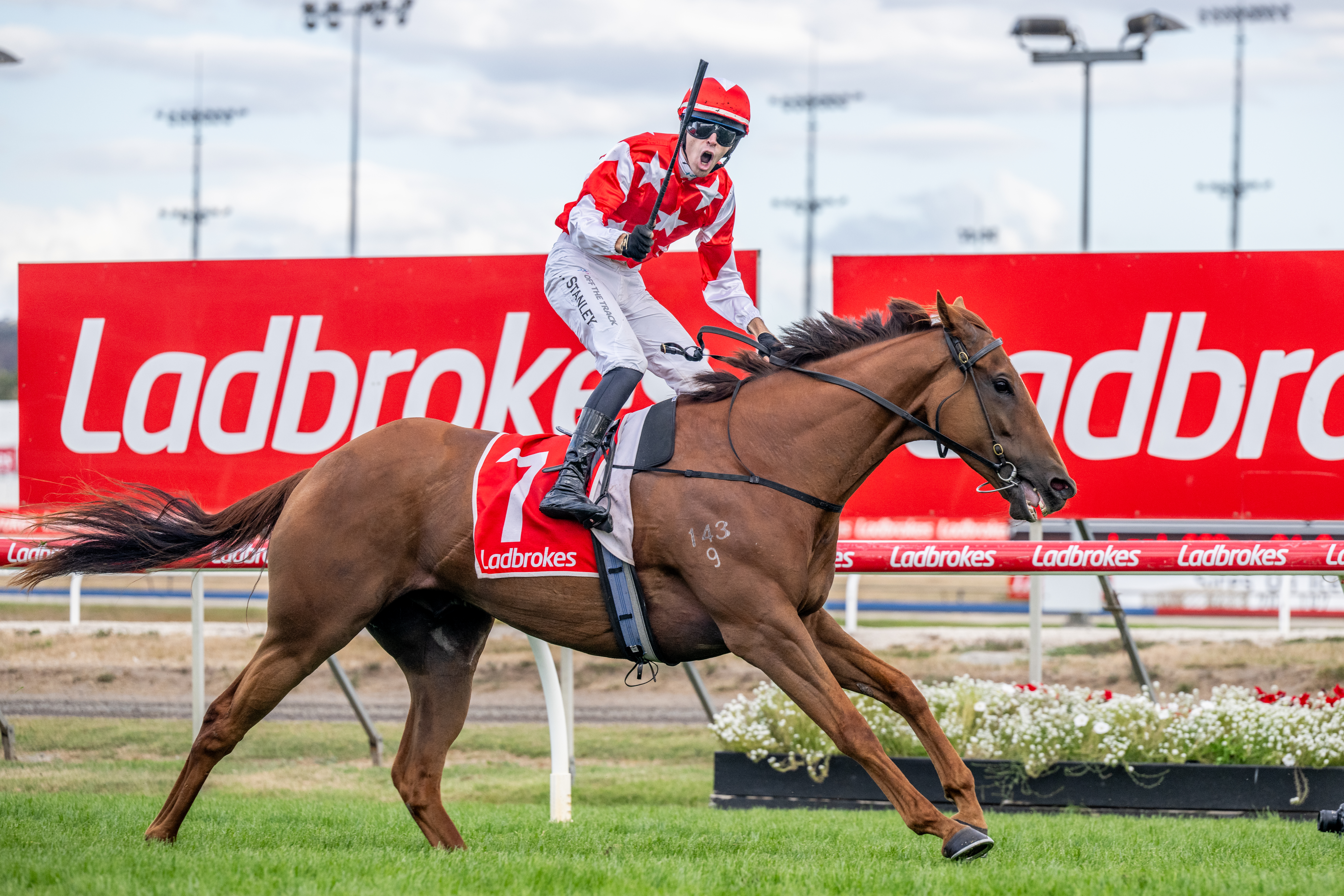 Asva wins 2026 Launceston Cup