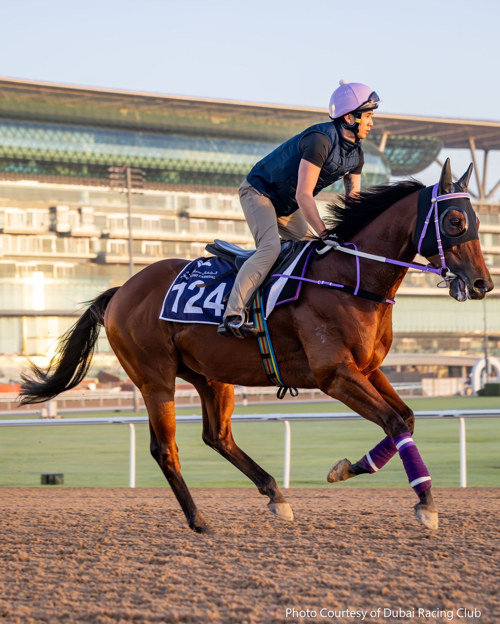 「昇瀧駒」在杜拜出操備戰超級星期六賽馬日
