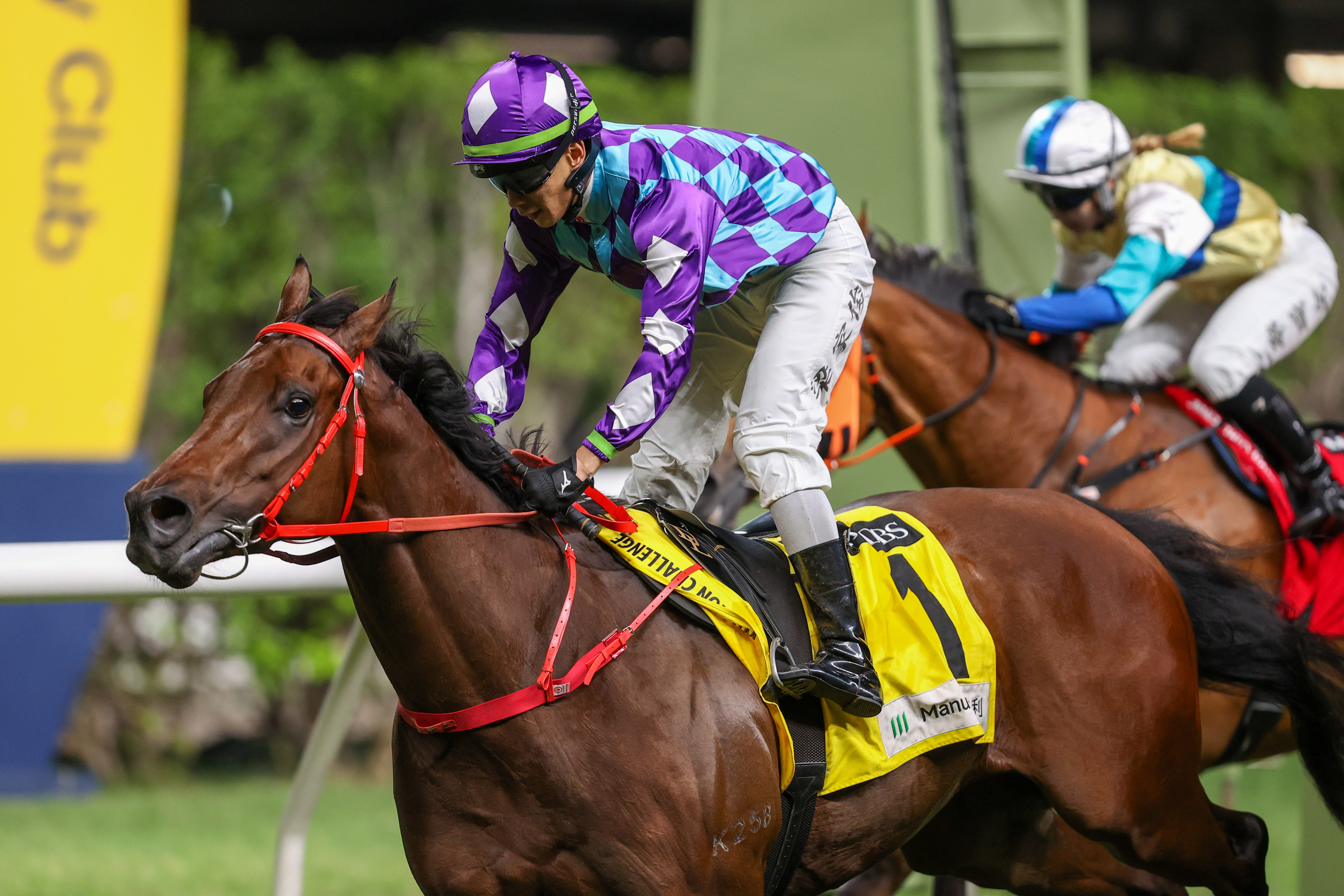 「至尊瑰寶」已在跑馬地取得三勝