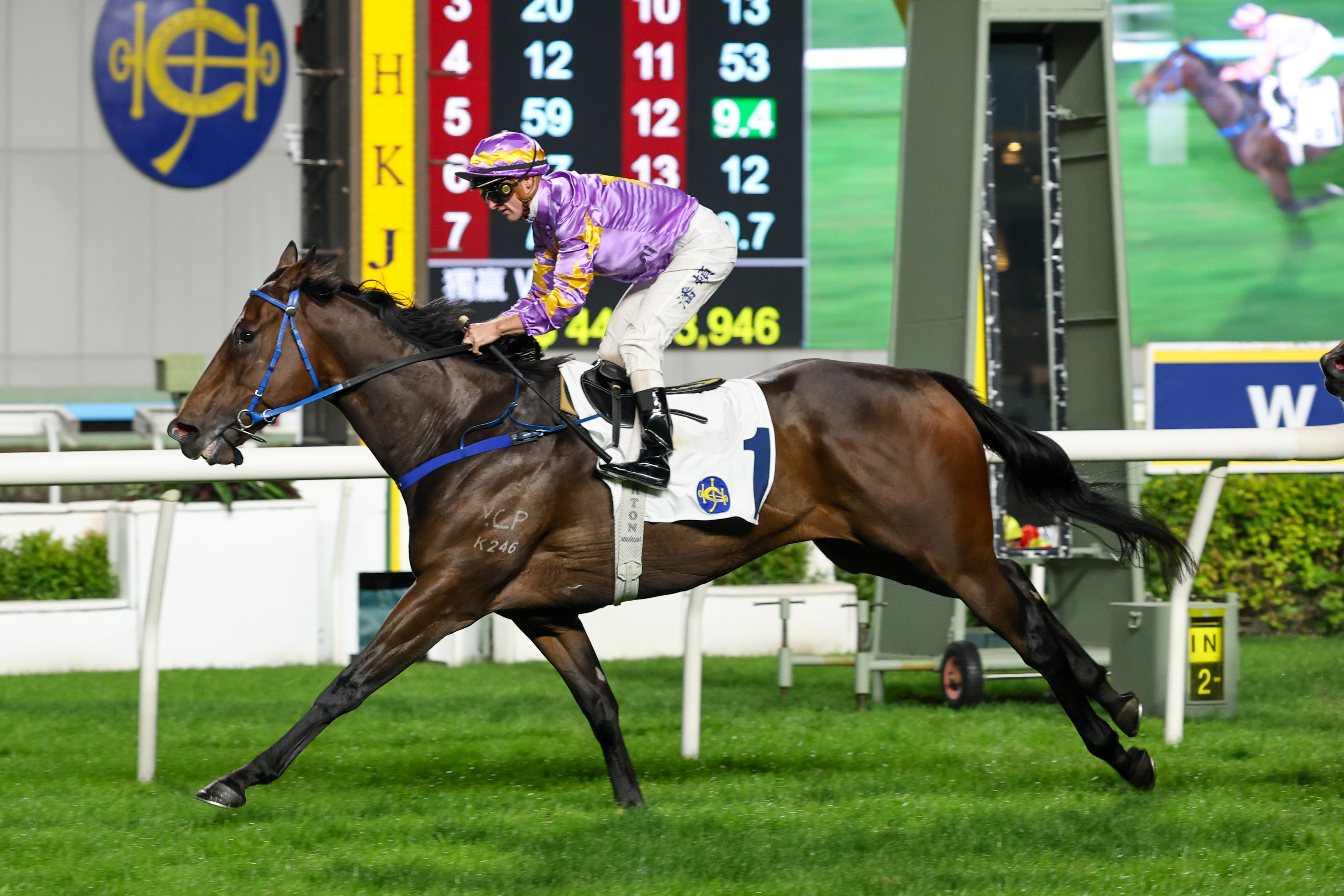 丁冠豪馬房的「小鳥天堂」今季已取得兩捷