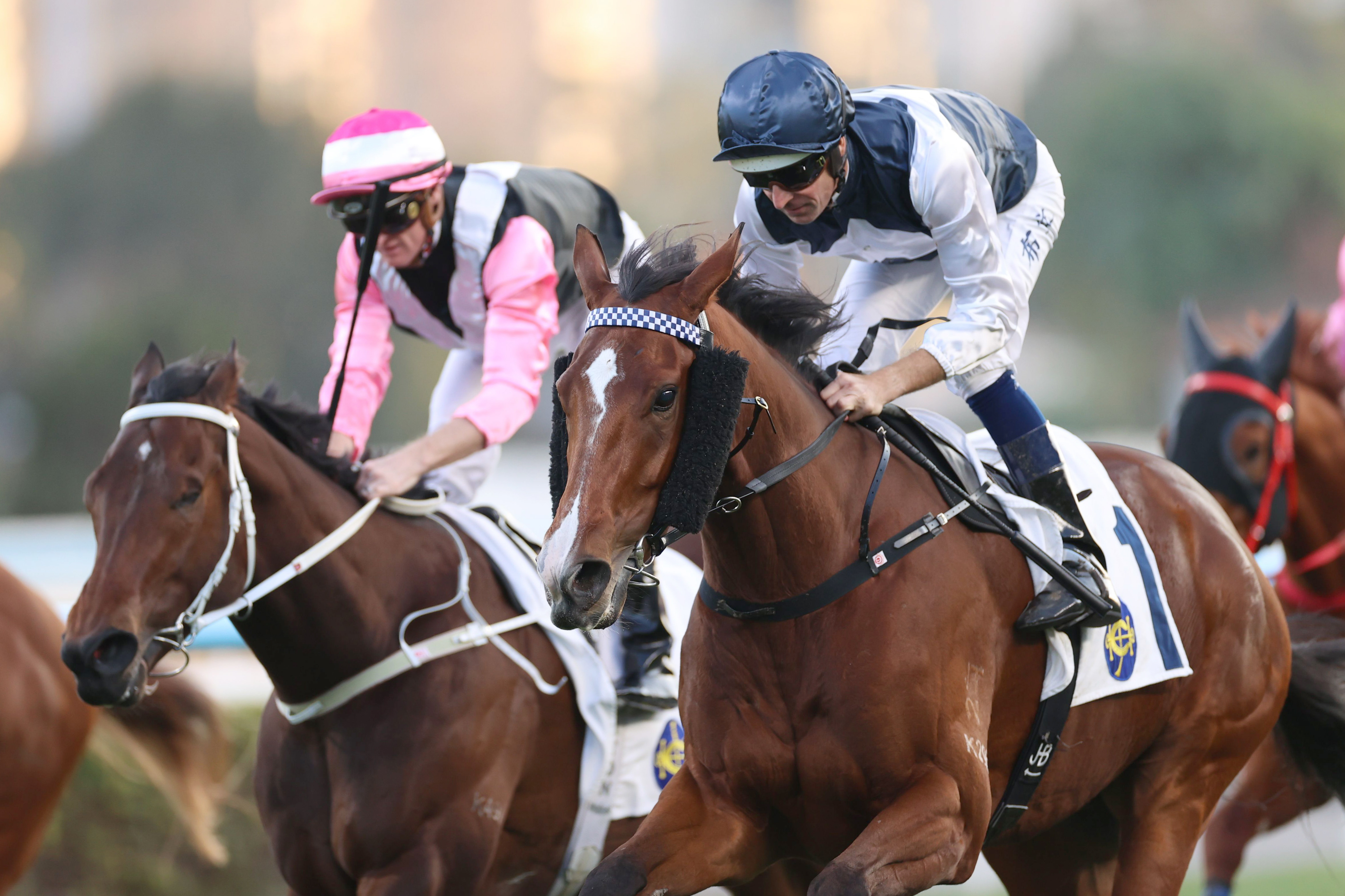 「白鷺金剛」（藍帽）力壓「美麗星晨」（粉紅帽）摘下頭馬