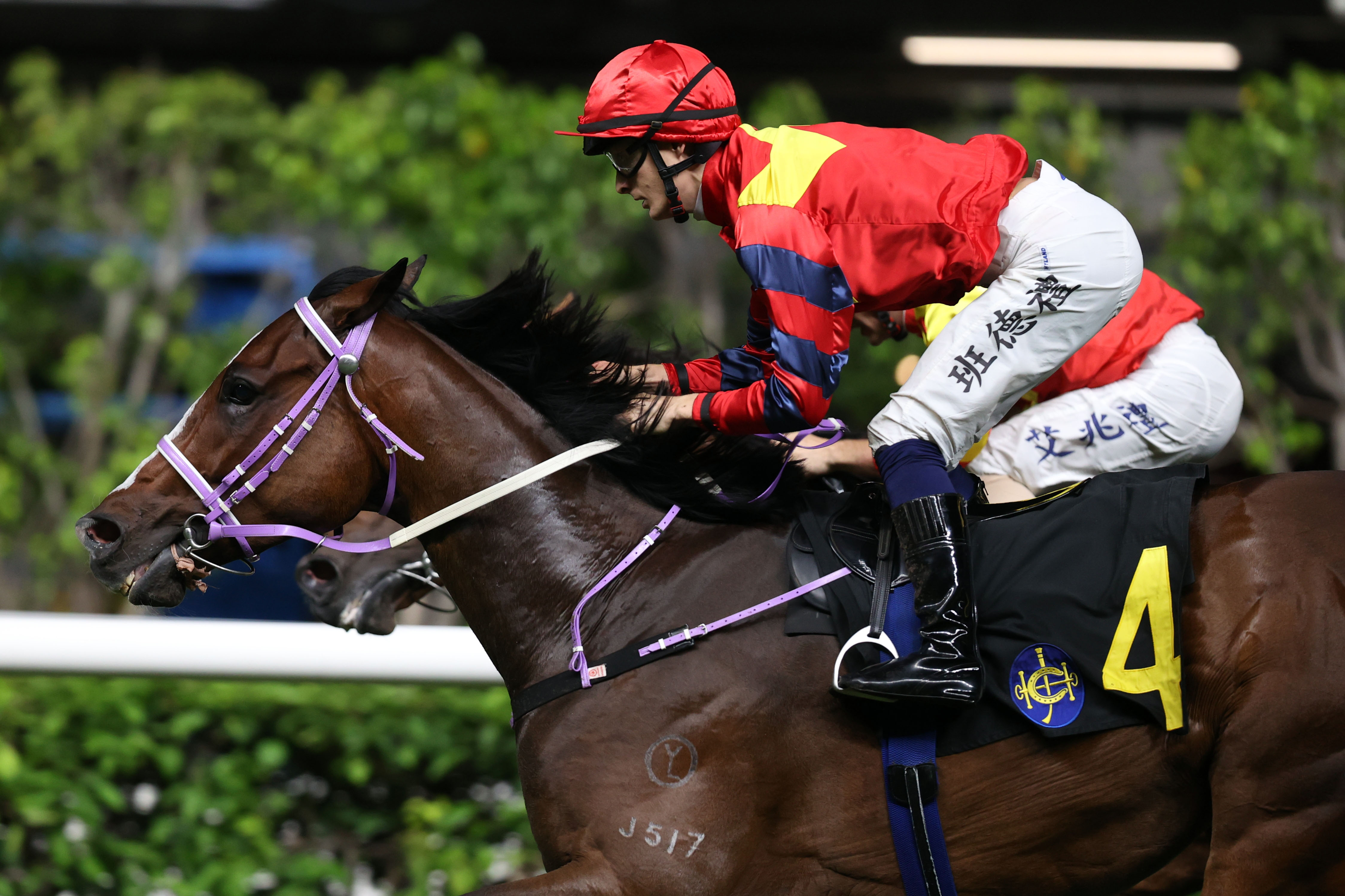 「康樂高球」實力出眾。