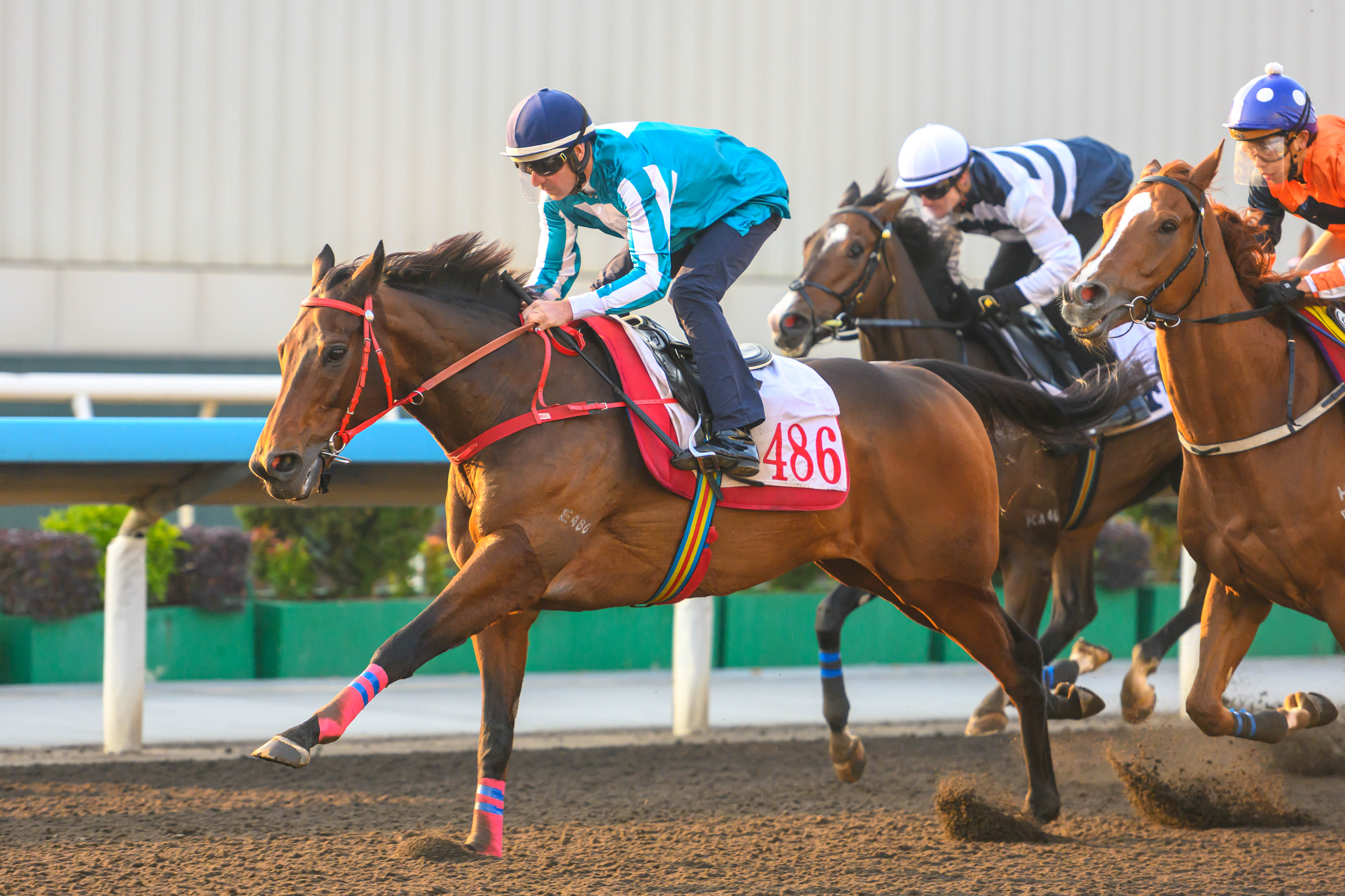 「浪漫勇士」夥拍布文出試。