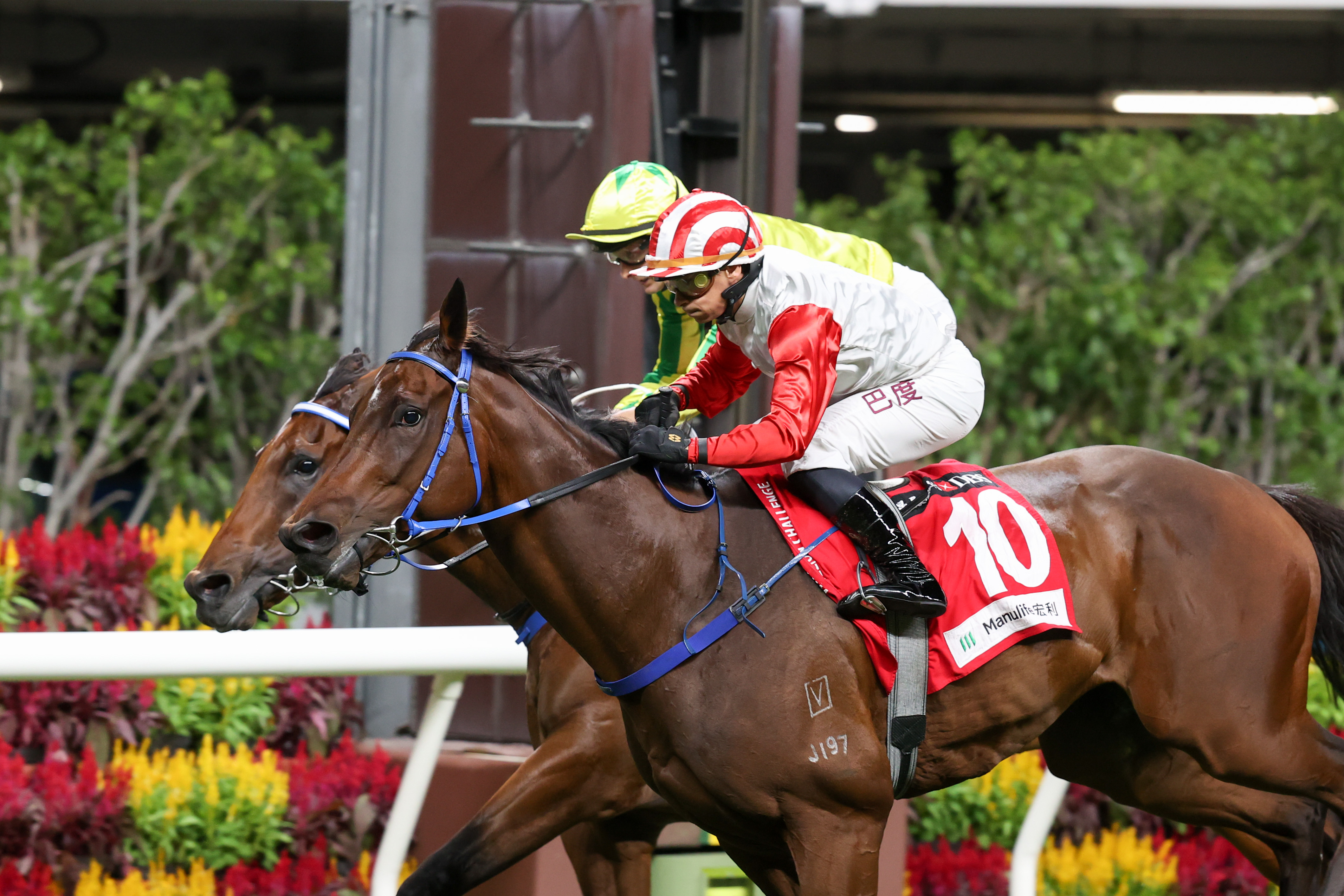 「鈦易搵」是方嘉柏明晚七匹參賽馬之一。