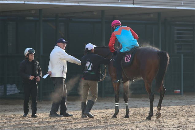 「嘉應高昇」在沙田試閘完畢後返回馬房