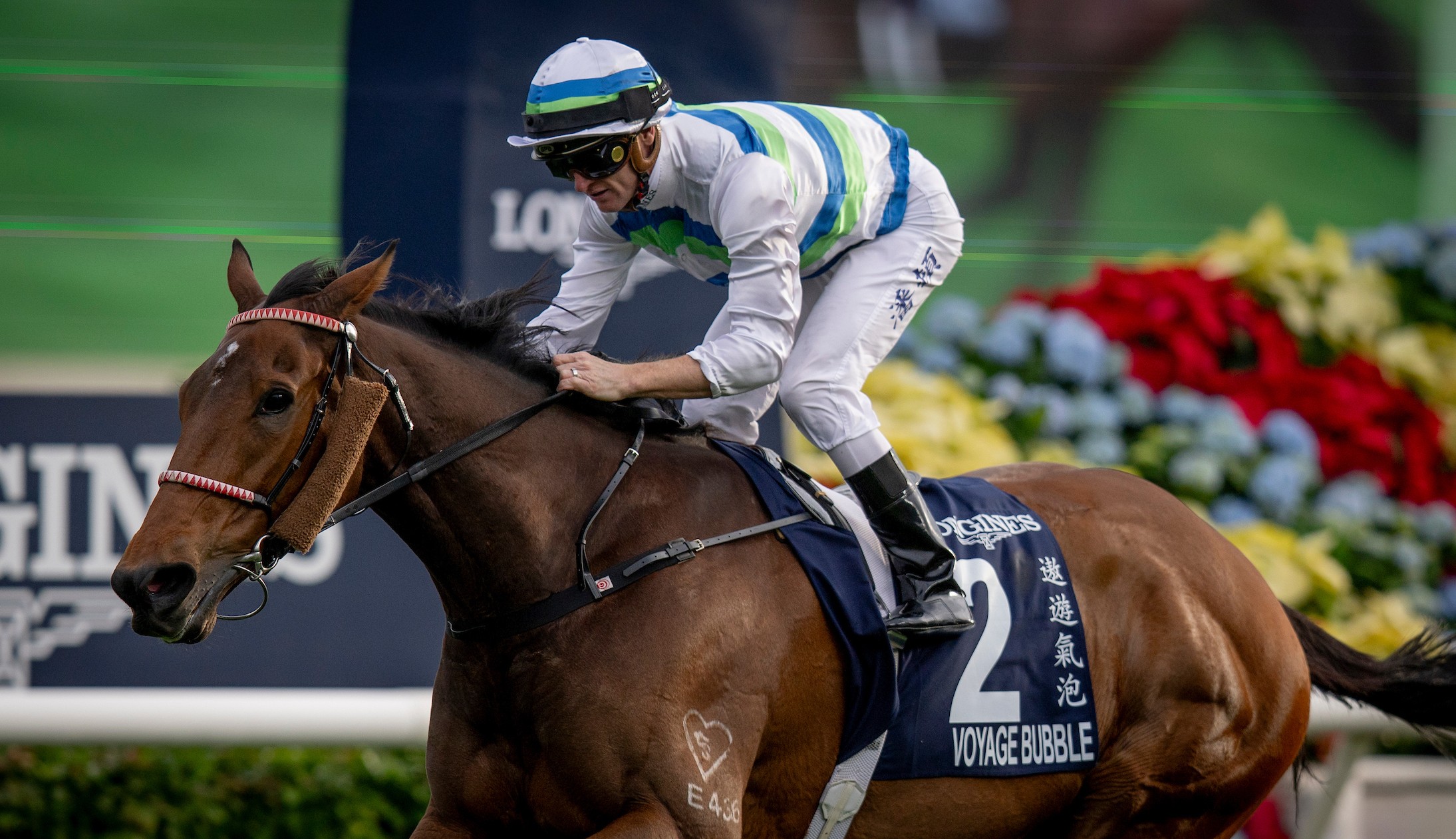 「遨遊氣泡」將在三冠大賽與「浪漫勇士」正面交鋒