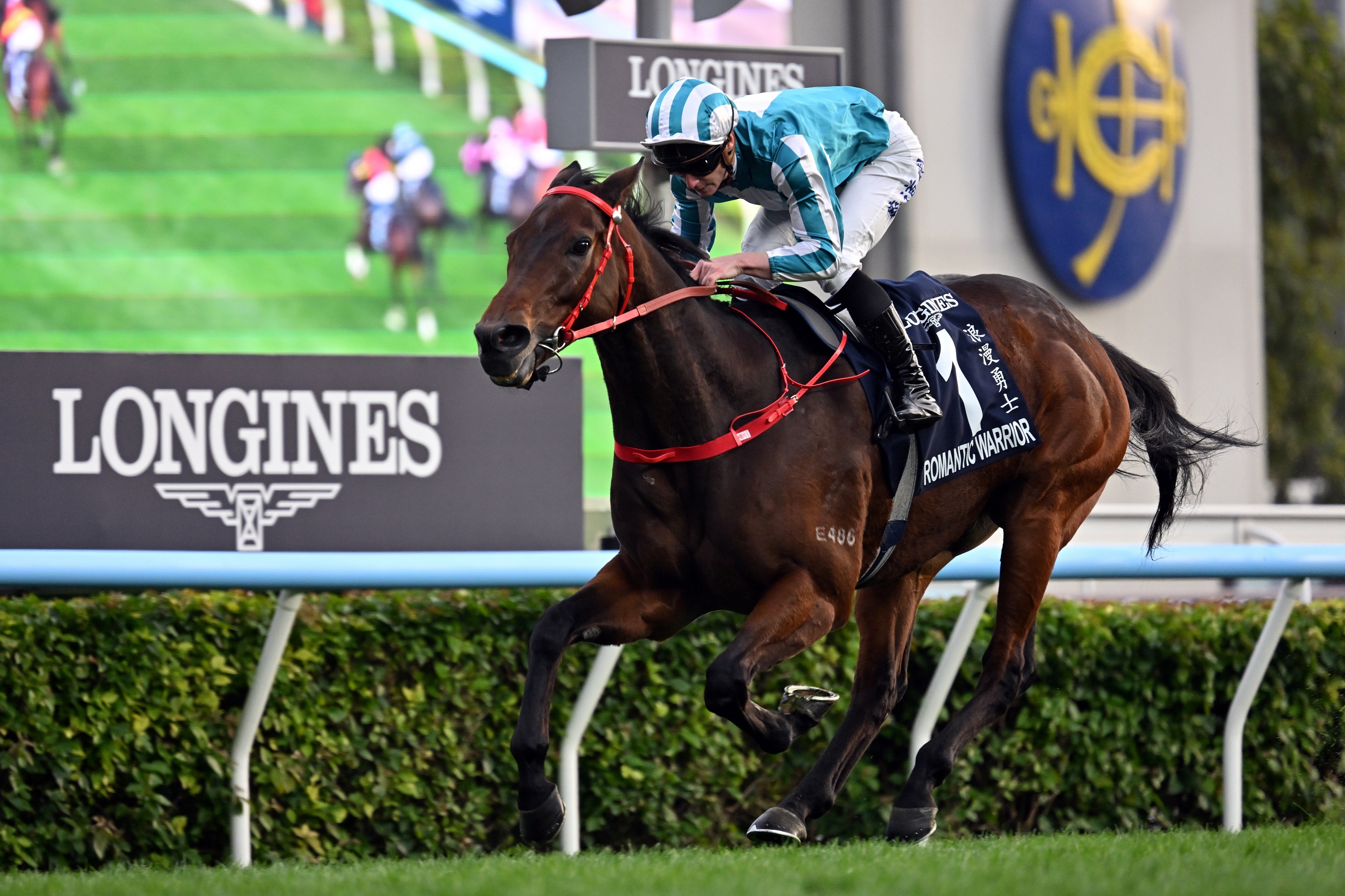 「浪漫勇士」至今出賽二十七次，共獲二十場頭馬