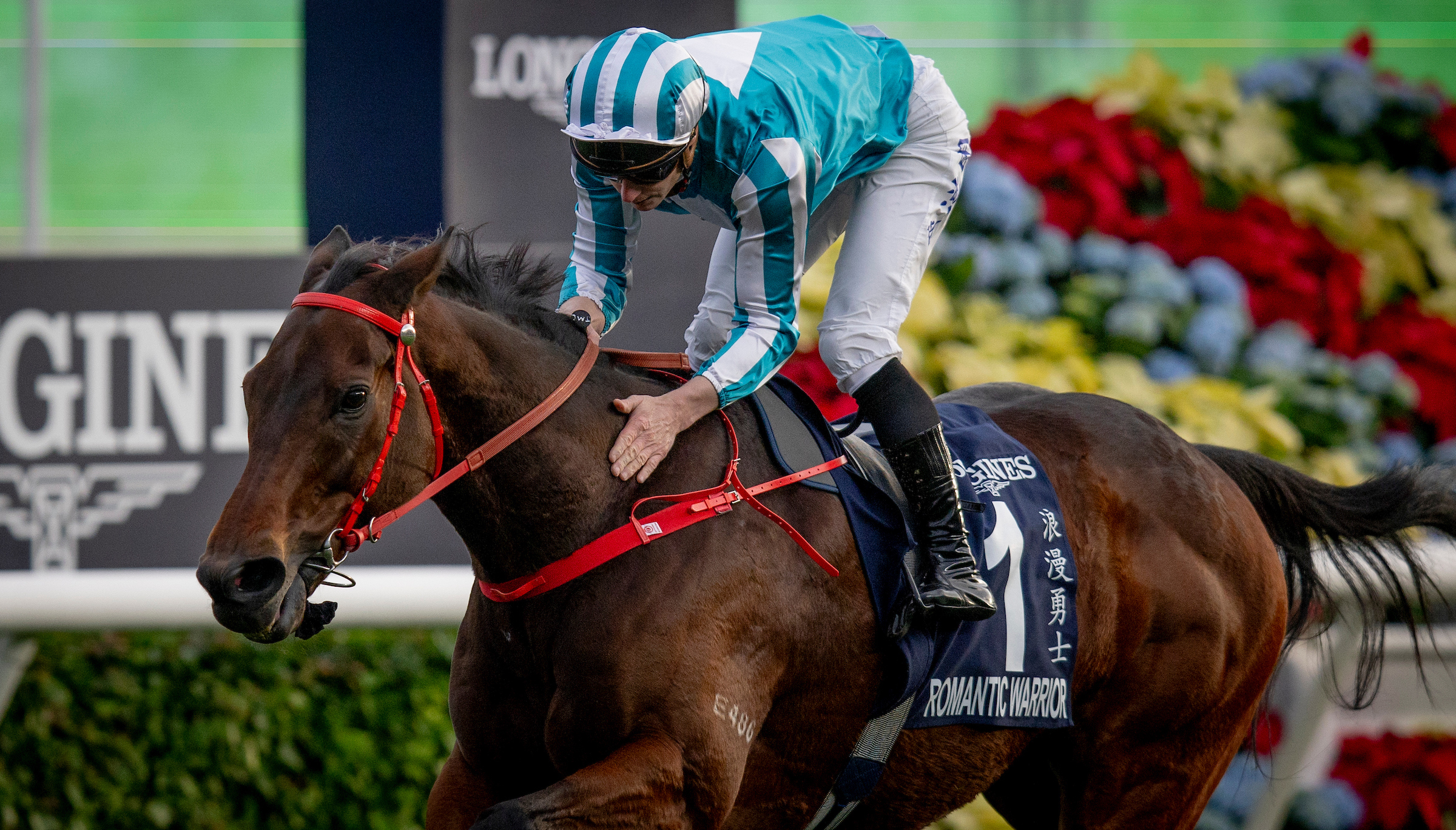 「浪漫勇士」力爭首勝一級賽董事盃