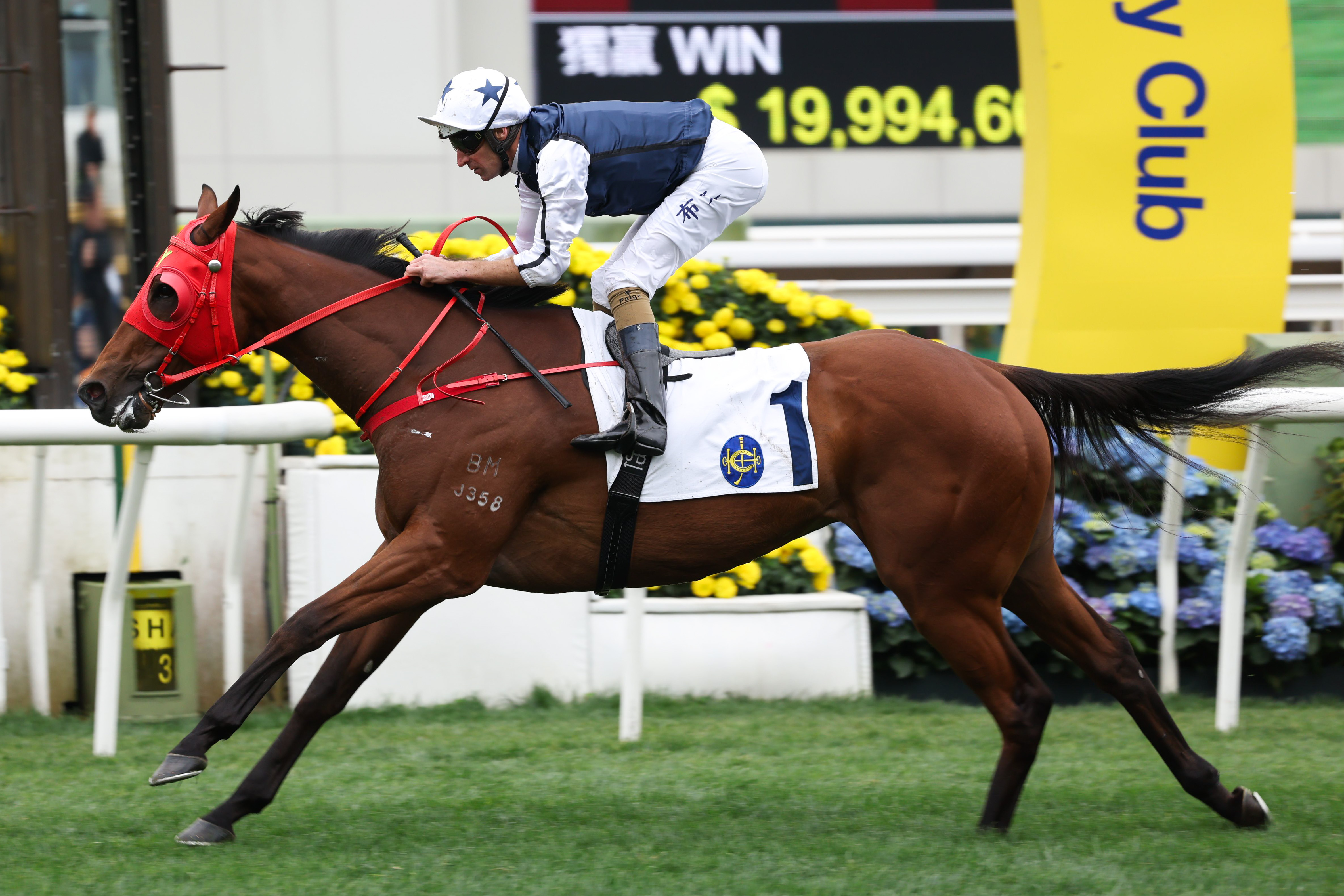 「舉步生風」迄今在港取得六捷