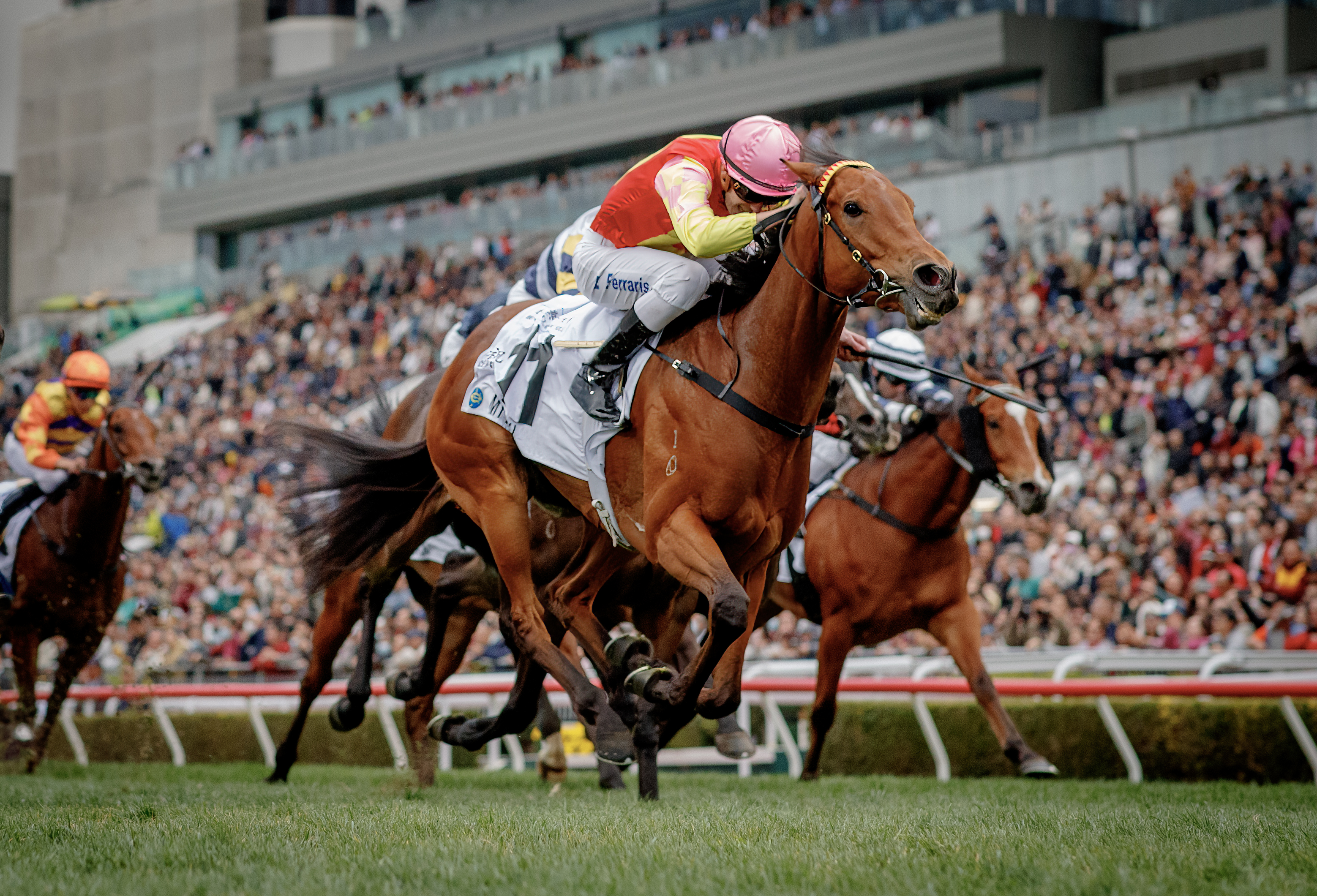 「祝願」看來勢必躋身香港賽馬的頂尖行列