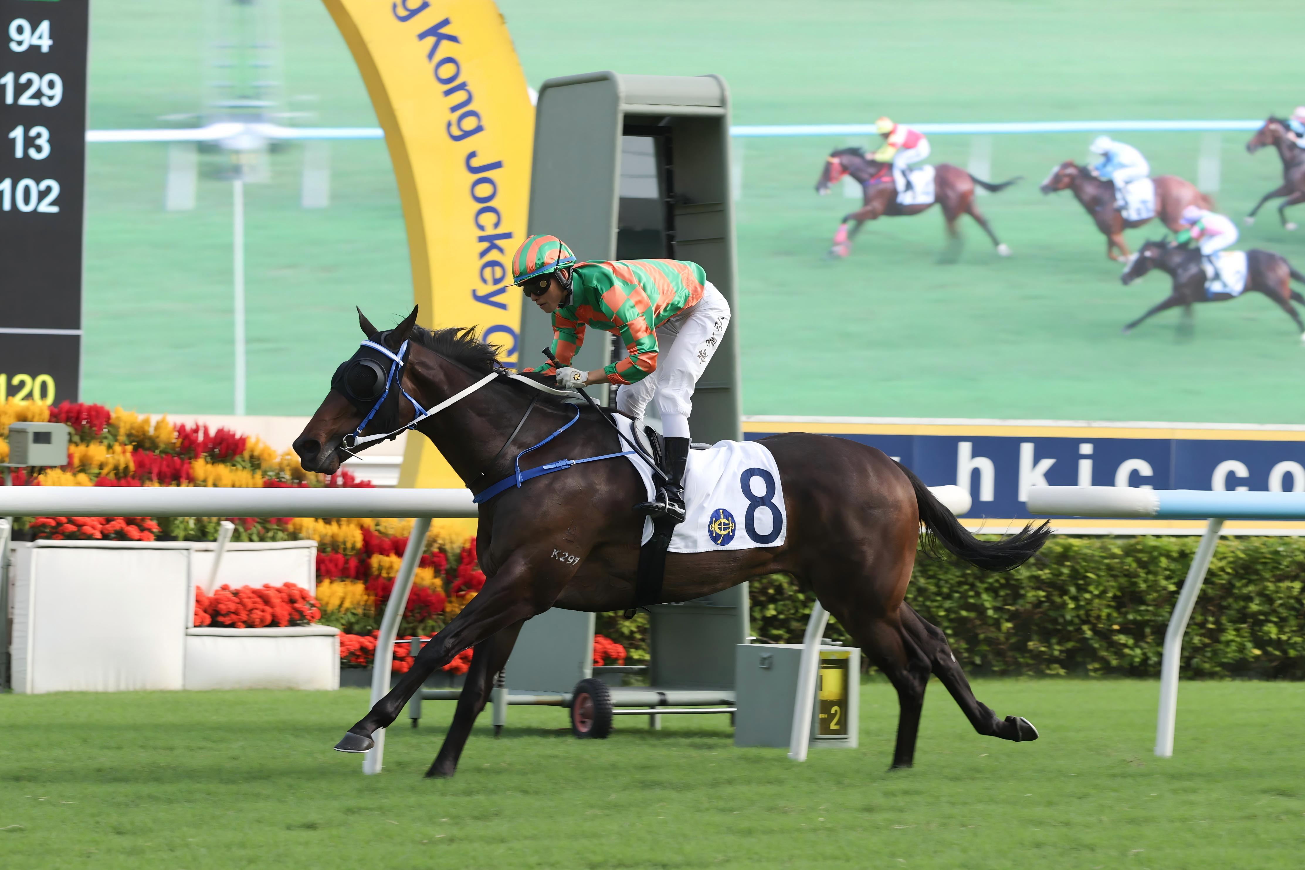 方嘉柏目前穩居練馬師榜首位。