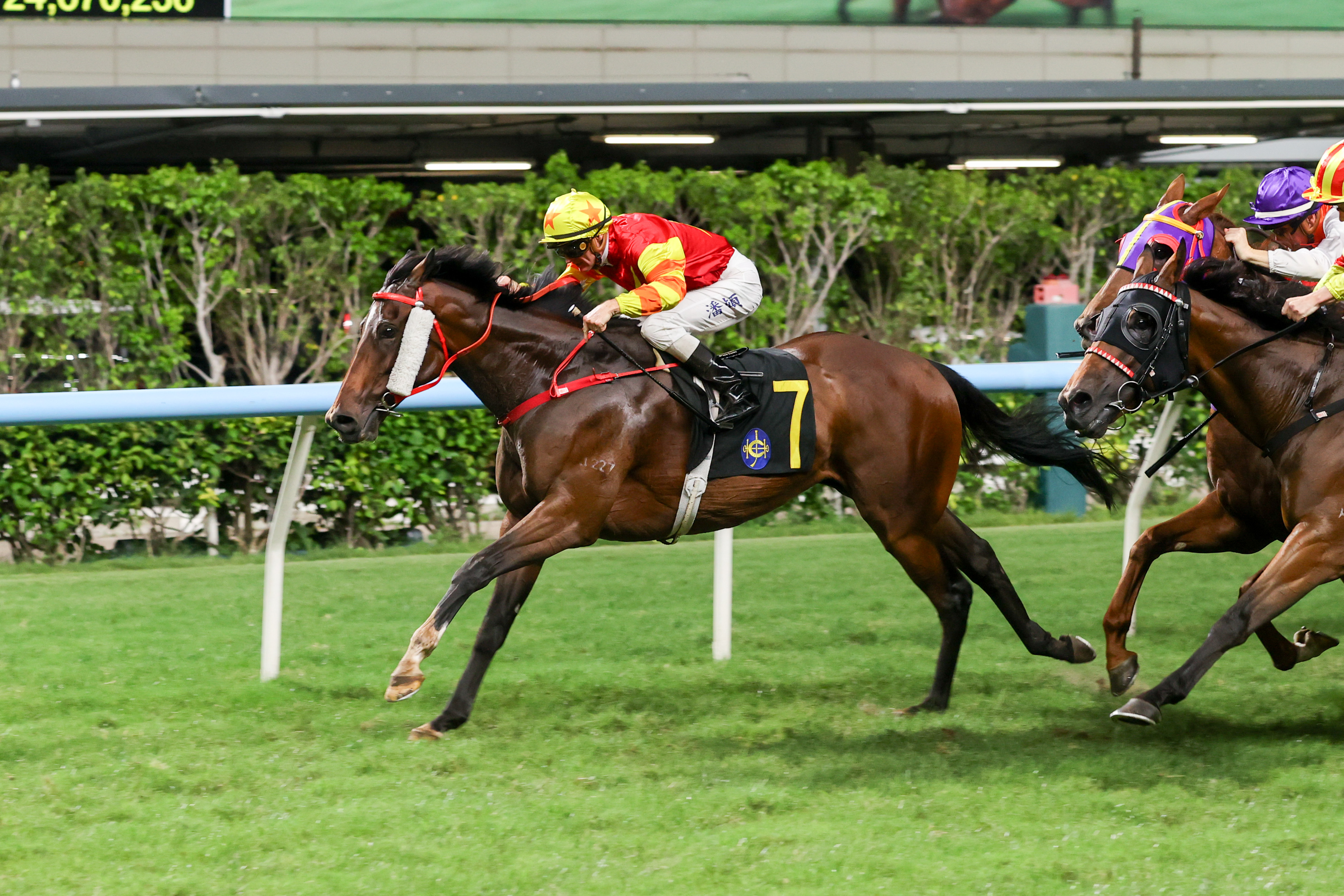 「追風」迄今在港四勝頭馬