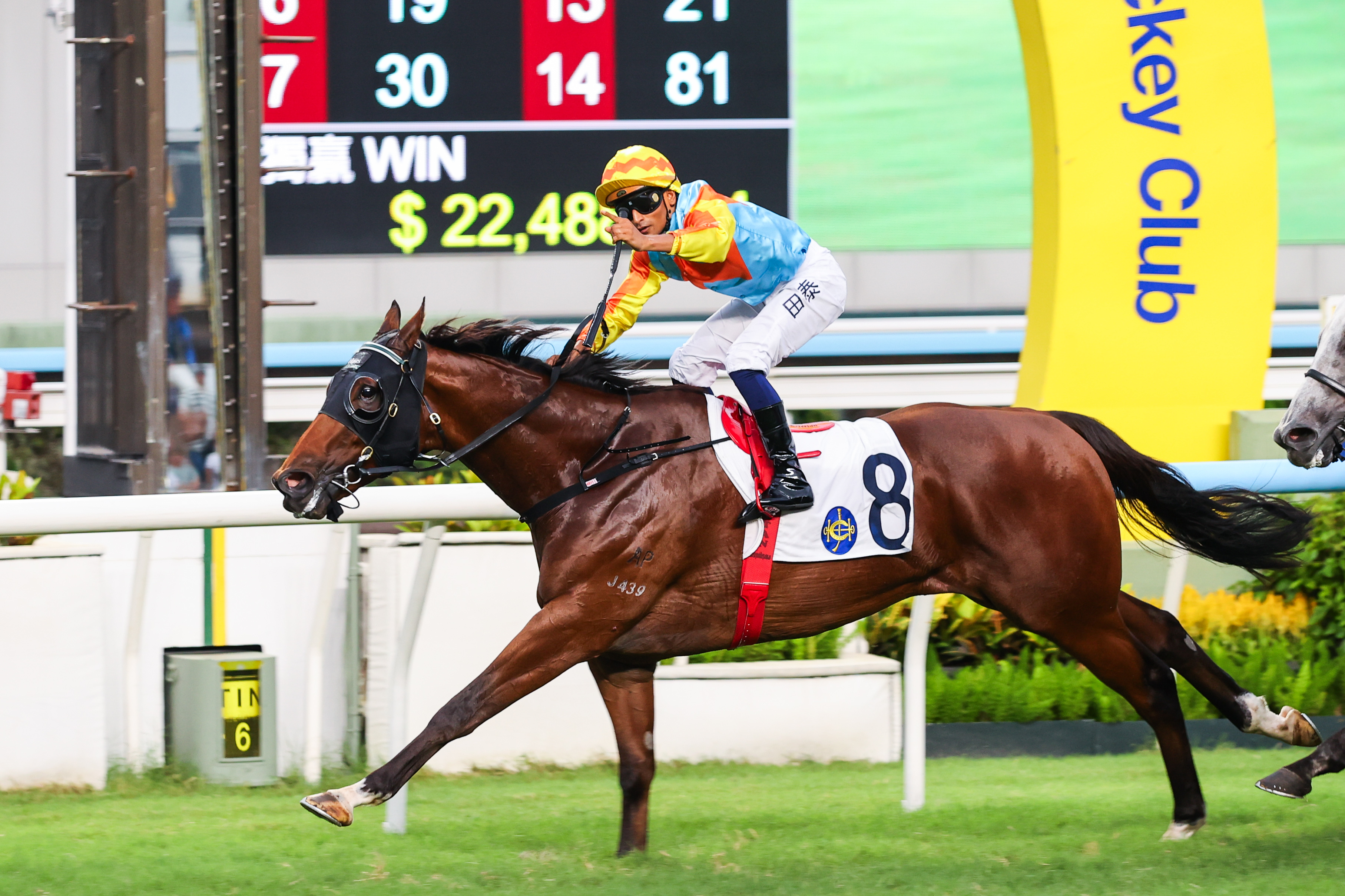 「嘉應駿馬」在沙田以精彩表現奪勝