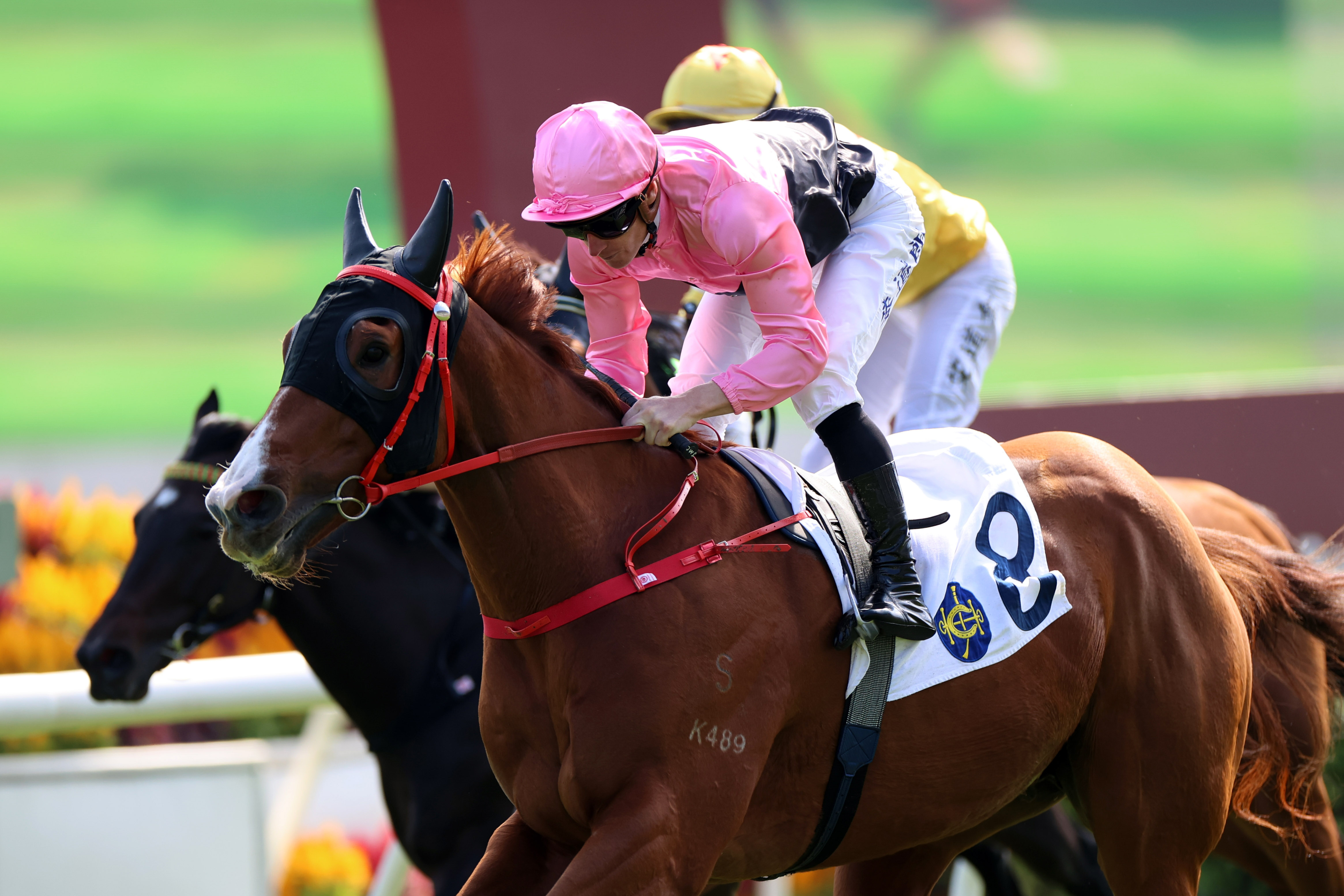 蔡約翰是十三屆香港冠軍練馬師