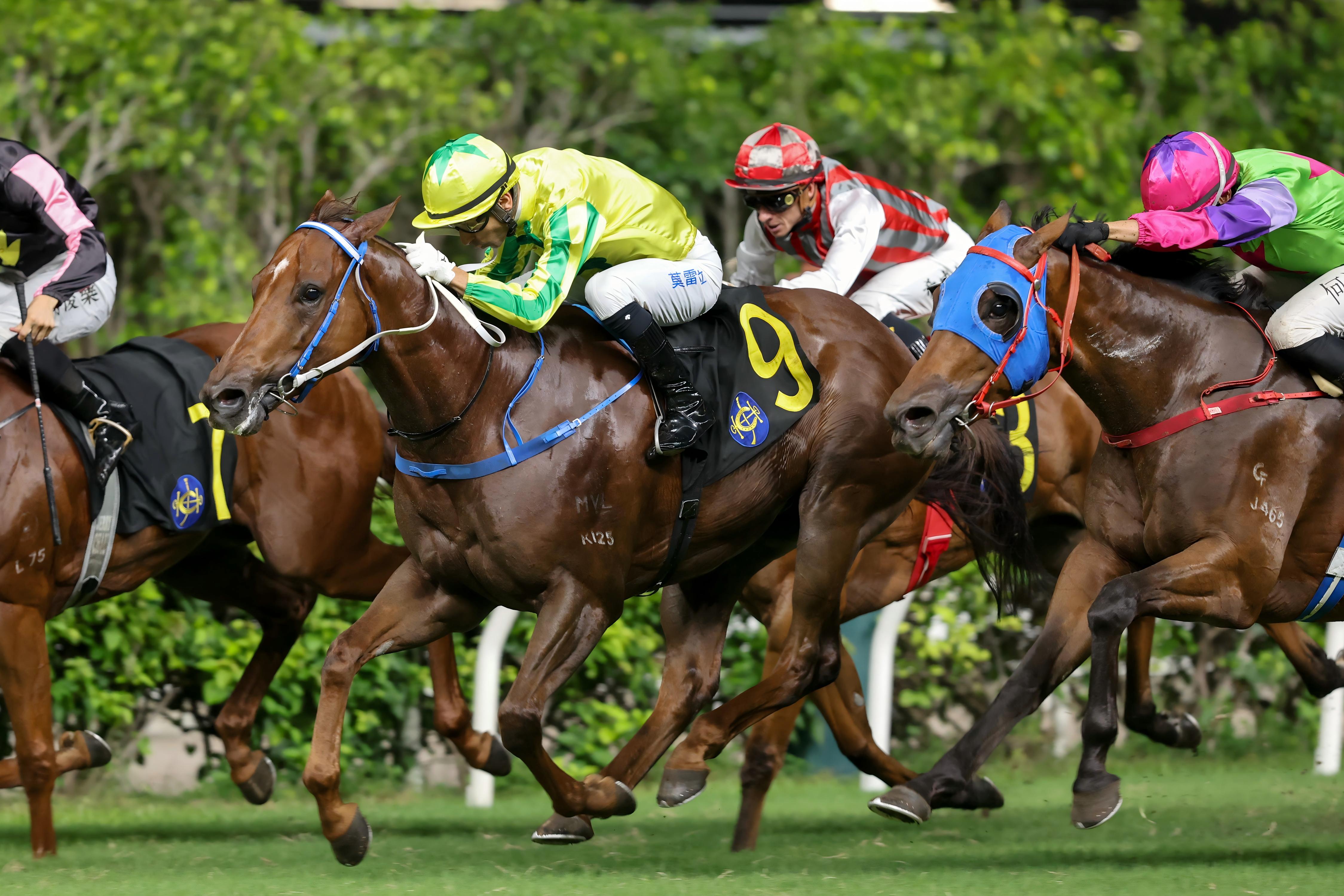 「富心星」為方嘉柏在跑馬地勝出重要的一仗。