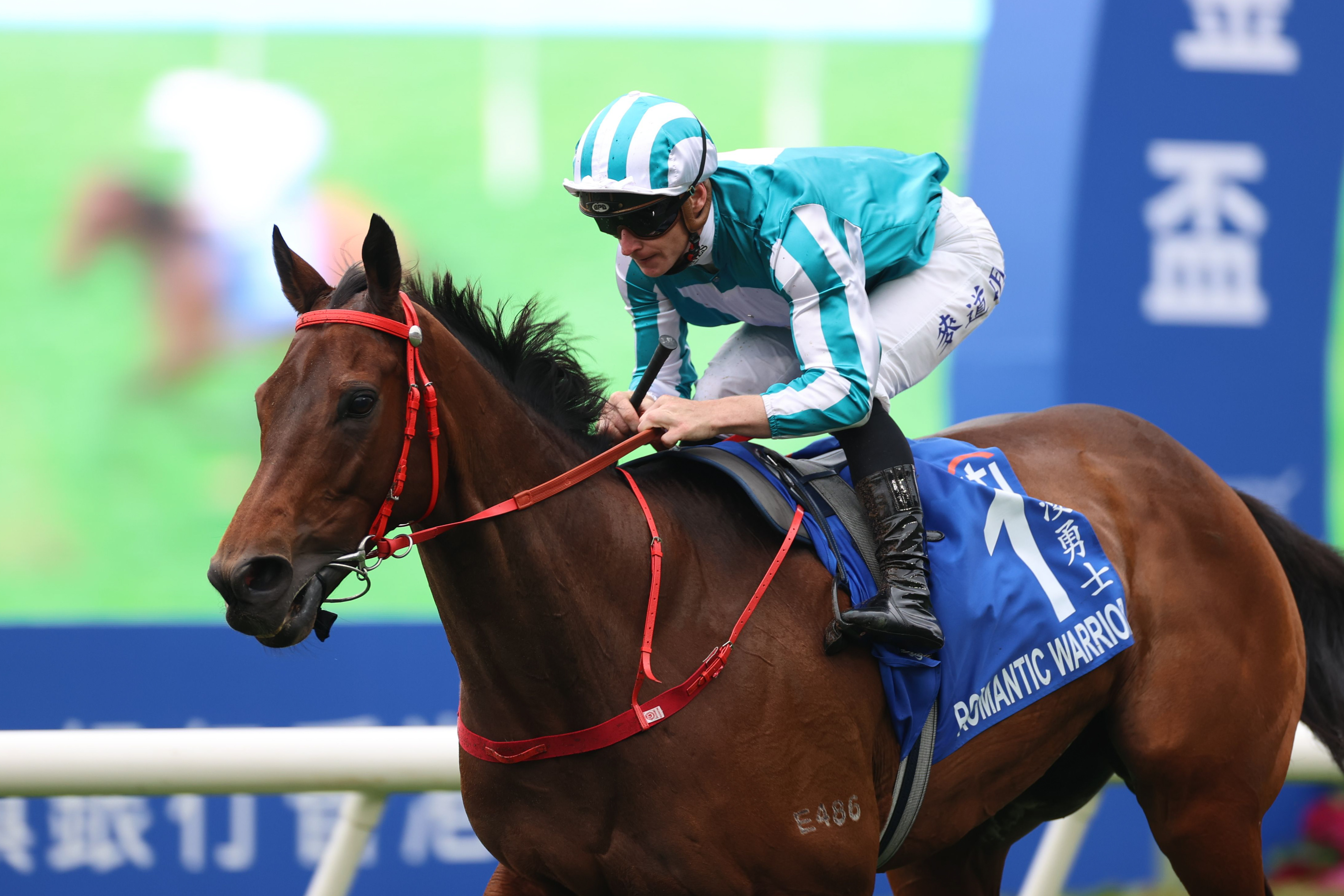 「浪漫勇士」在麥道朗胯下在沙田馬場以壓倒性姿態奪冠 「浪漫勇士」在麥道朗胯下在沙田馬場以壓倒性姿態奪冠