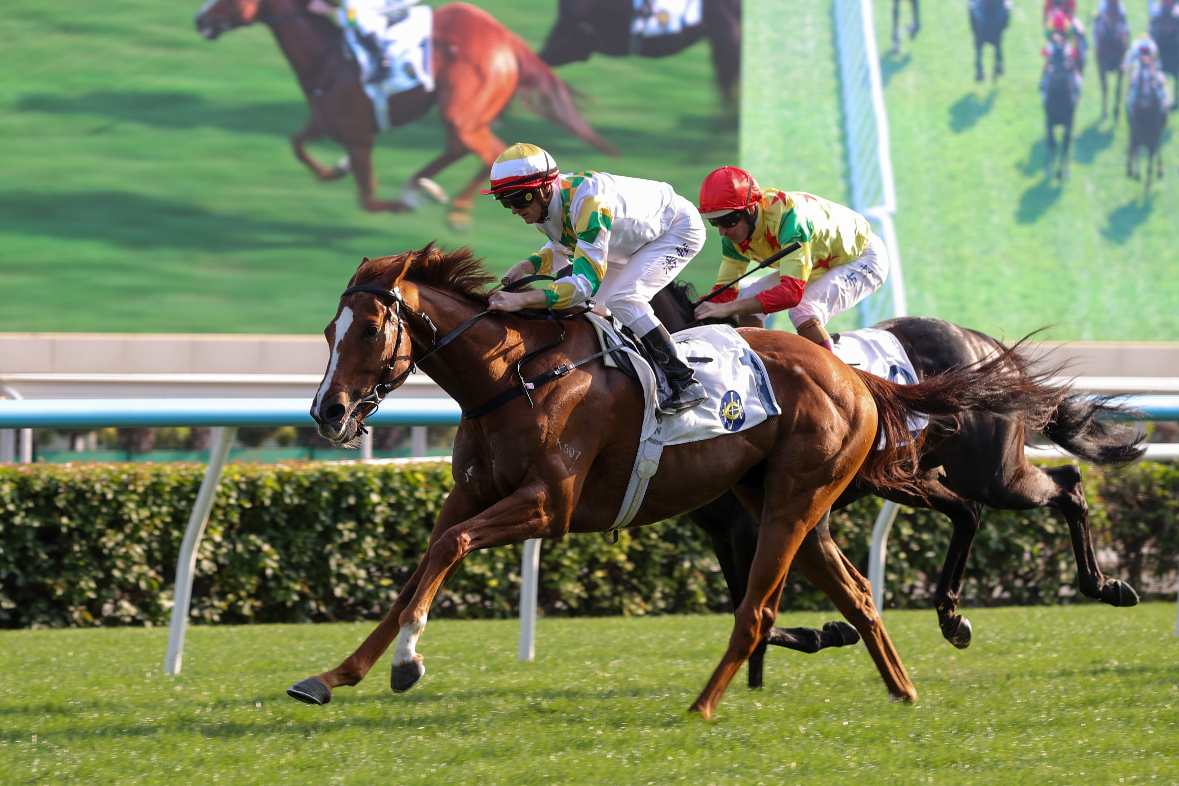 「睿盛人生」在寶馬香港打吡大賽中將交由田泰安執韁