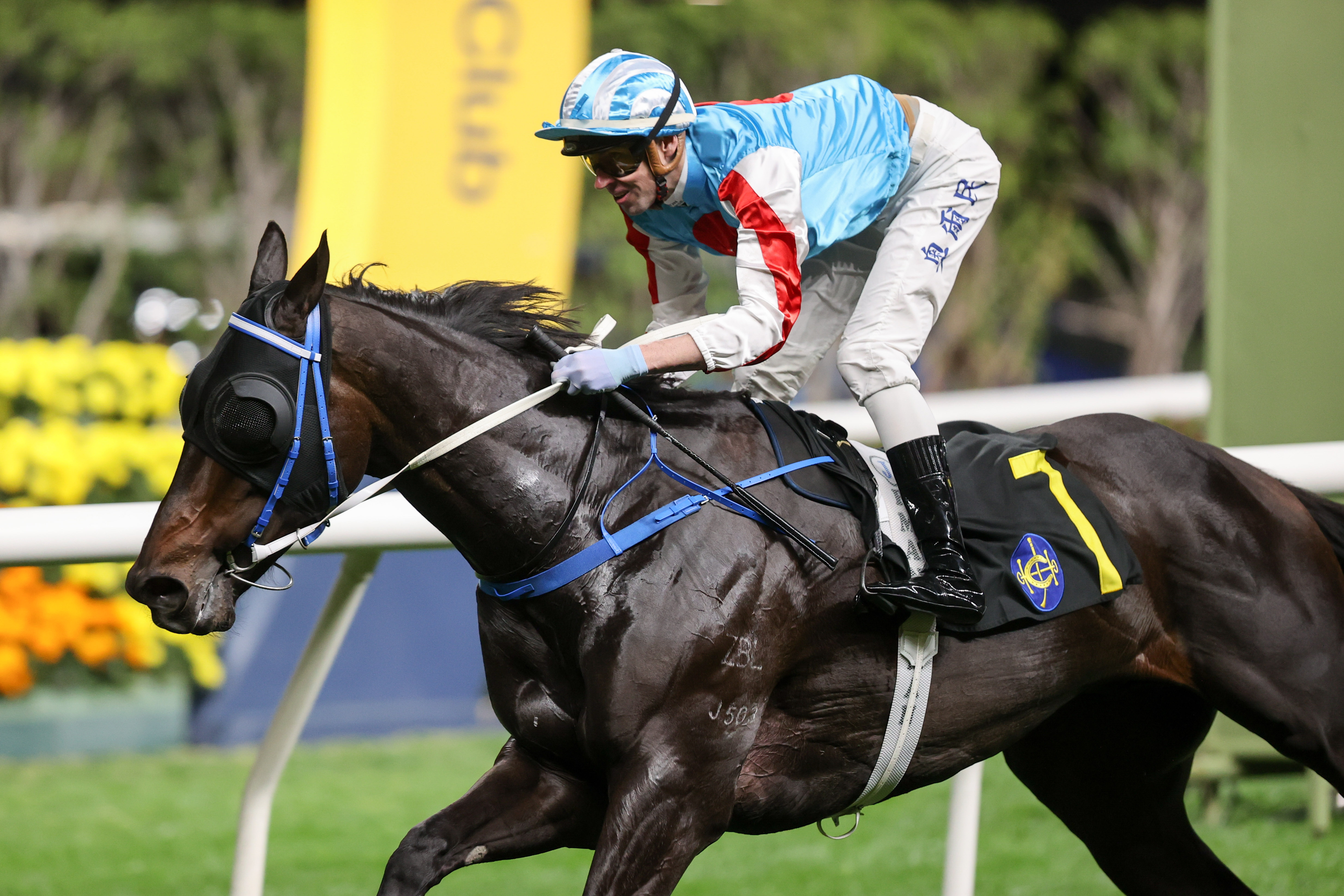 「棒棒糖」在奧爾民胯下勝出跑馬地賽事