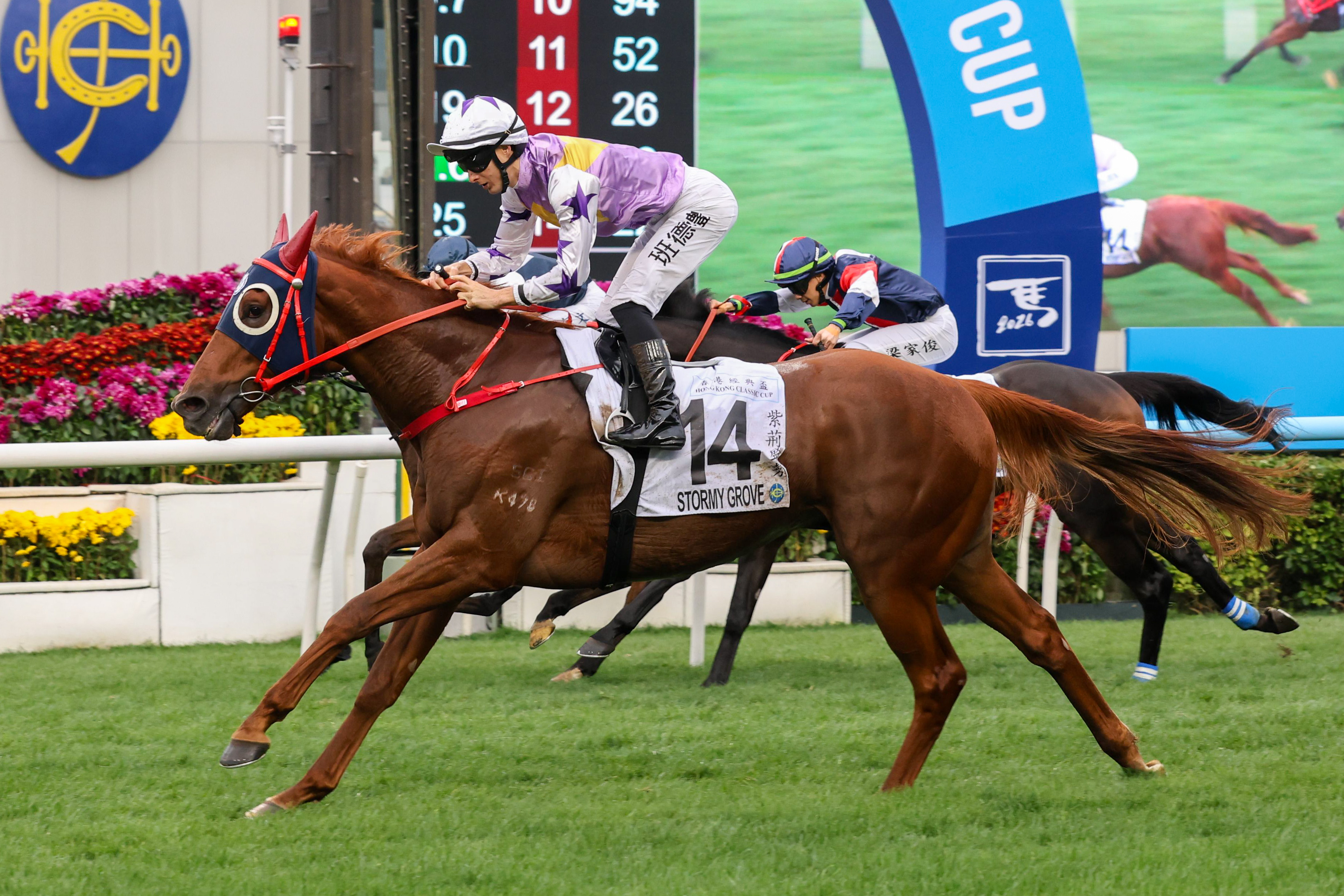 「紫荊盛勢」攻下香港經典盃