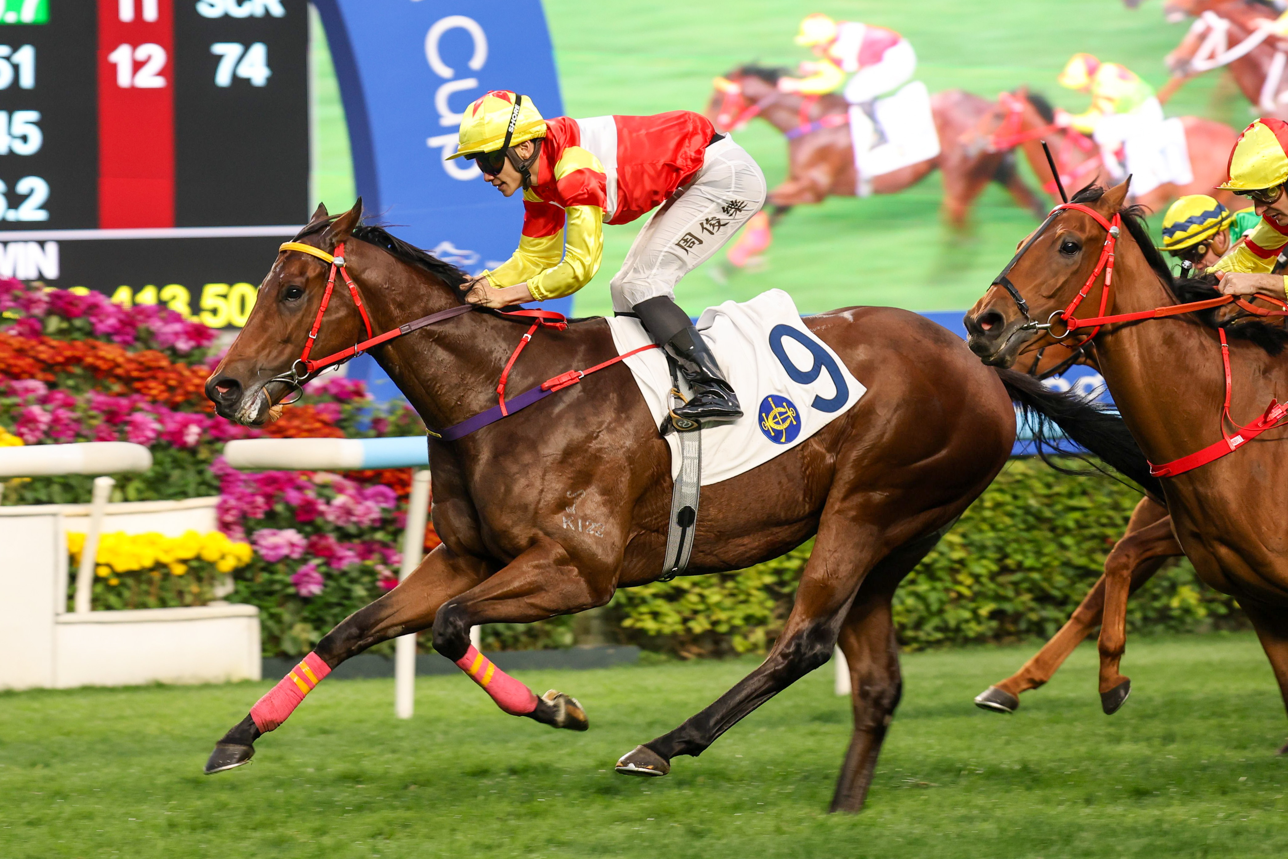 「會當凌」將力爭五連勝