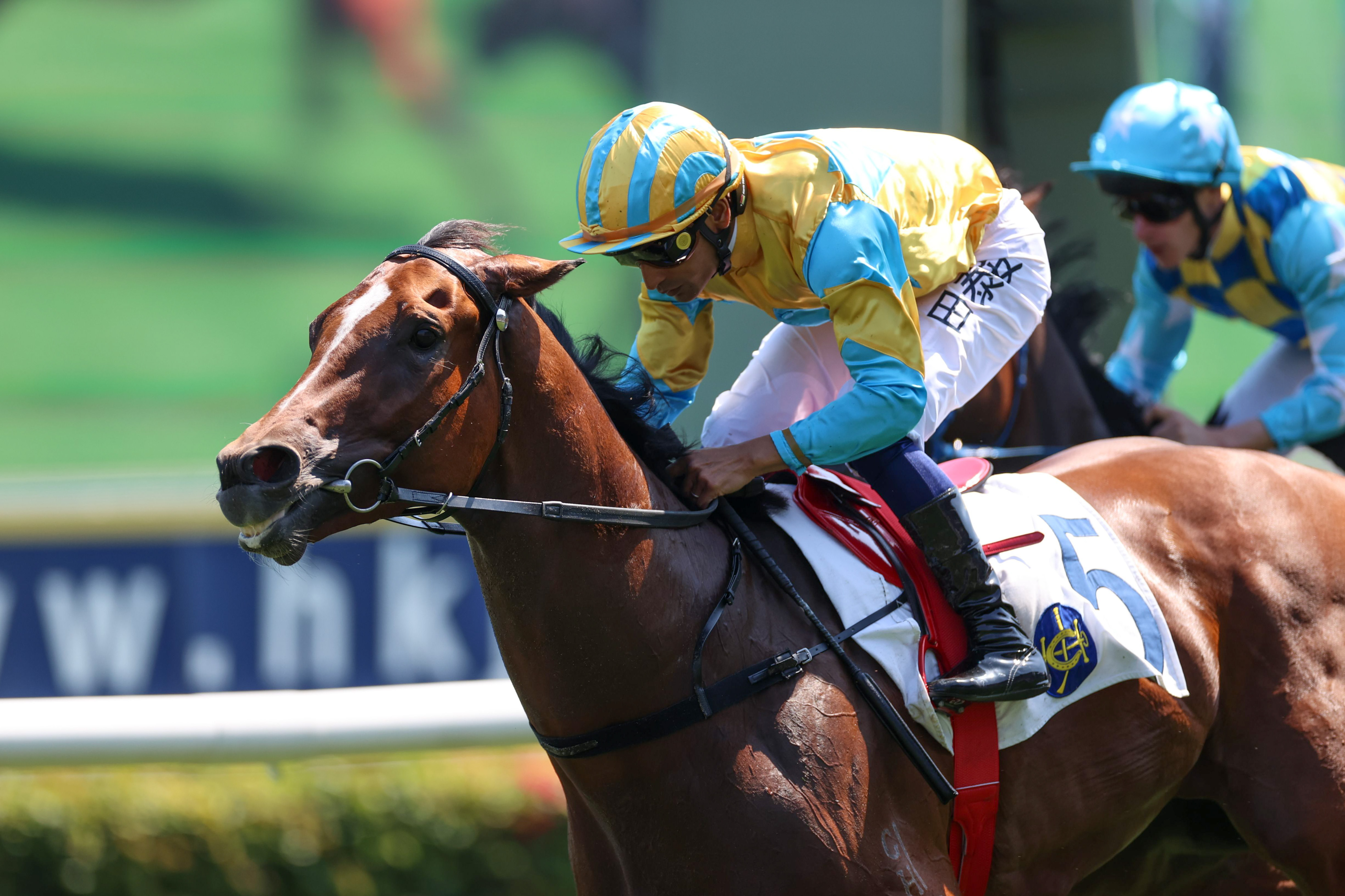 田泰安夥拍「堅先生」增添頭馬進賬 田泰安夥拍「堅先生」增添頭馬進賬