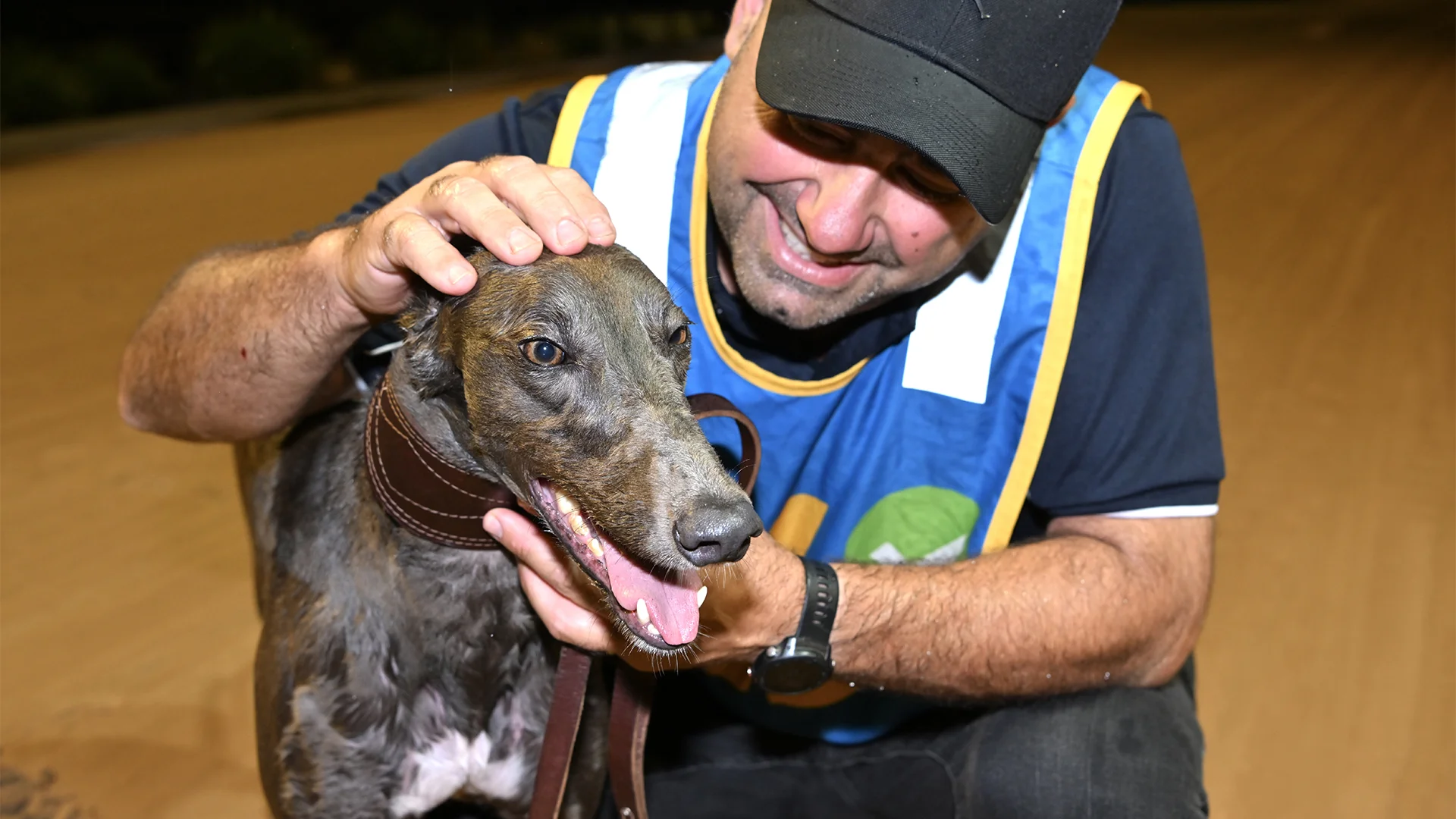 Box Office Heats Produce Hot Shepparton Cup Final | Sky Racing World ...
