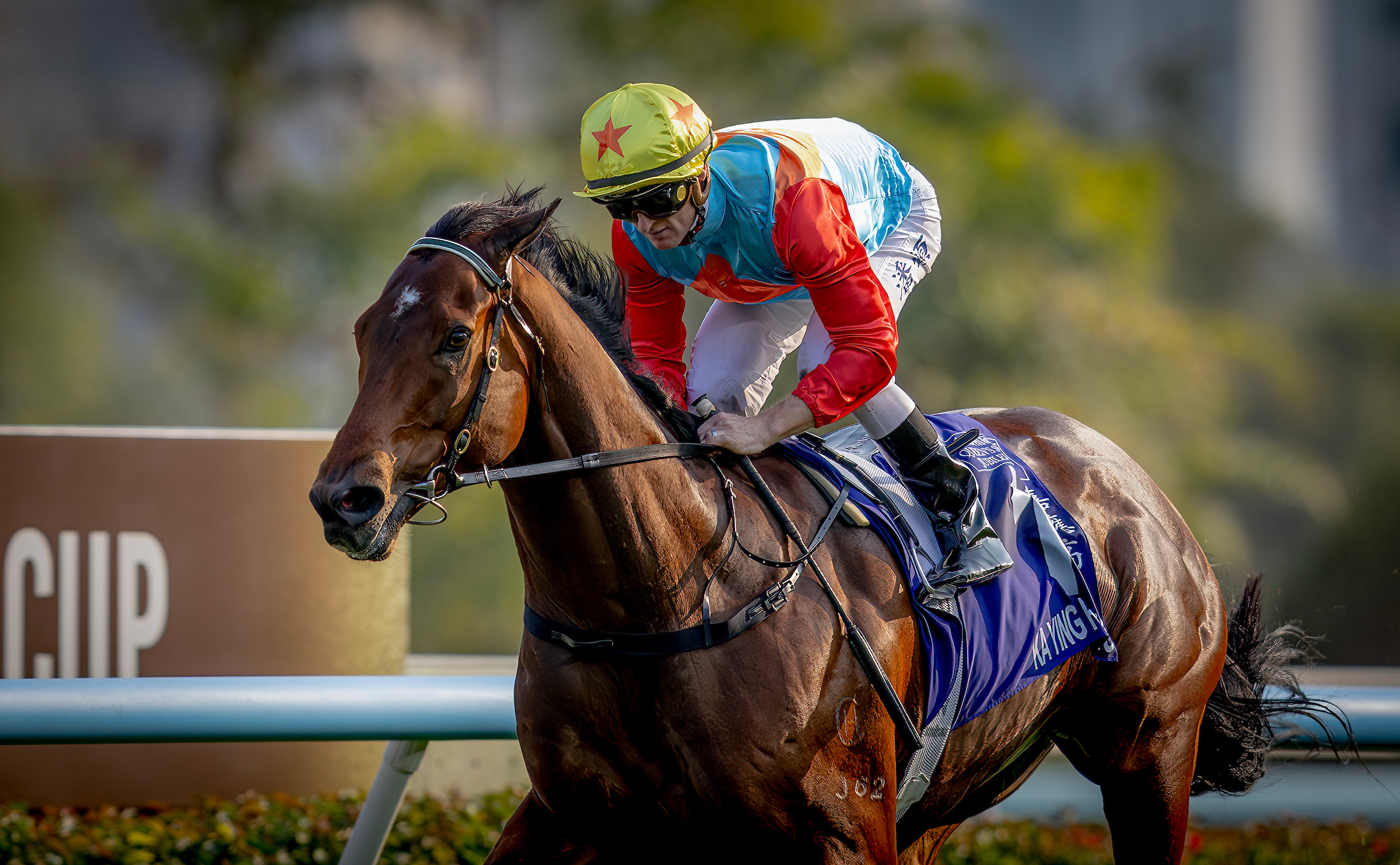 「嘉應高昇」有望於4月在沙田舉行的富衛保險冠軍賽馬日中爭取二十連勝